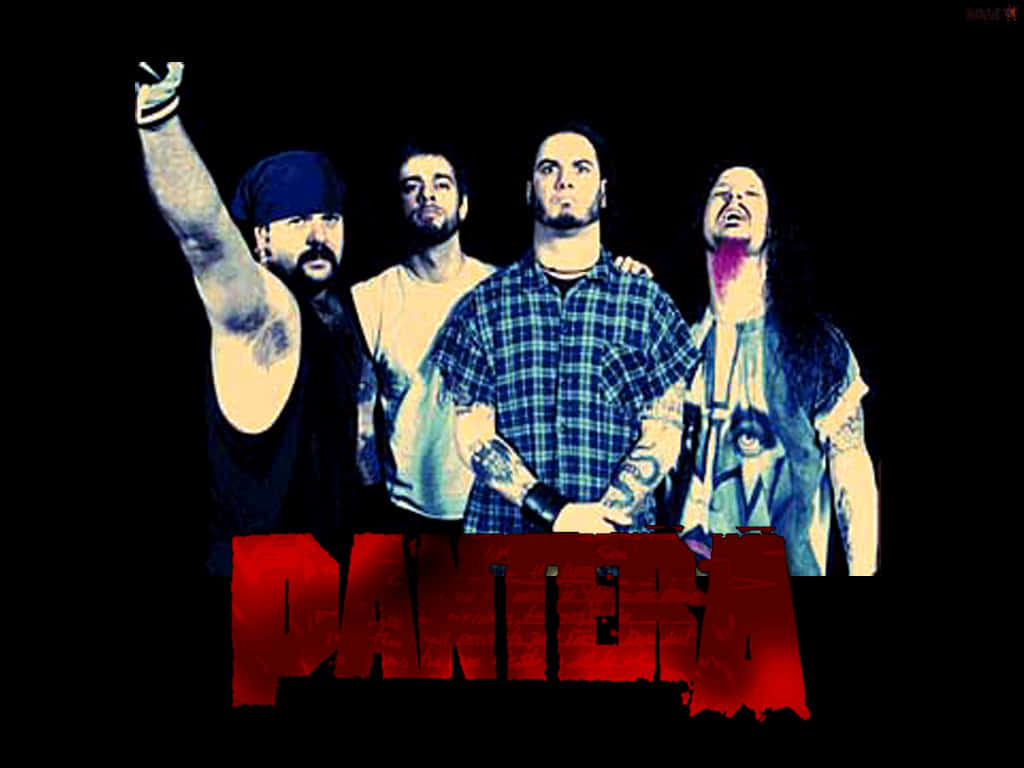 Pantera - Wallpapers - Hd Background