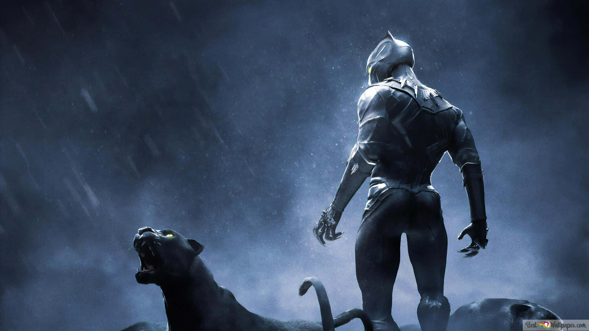 Panther Animal And Black Panther Landscape Background