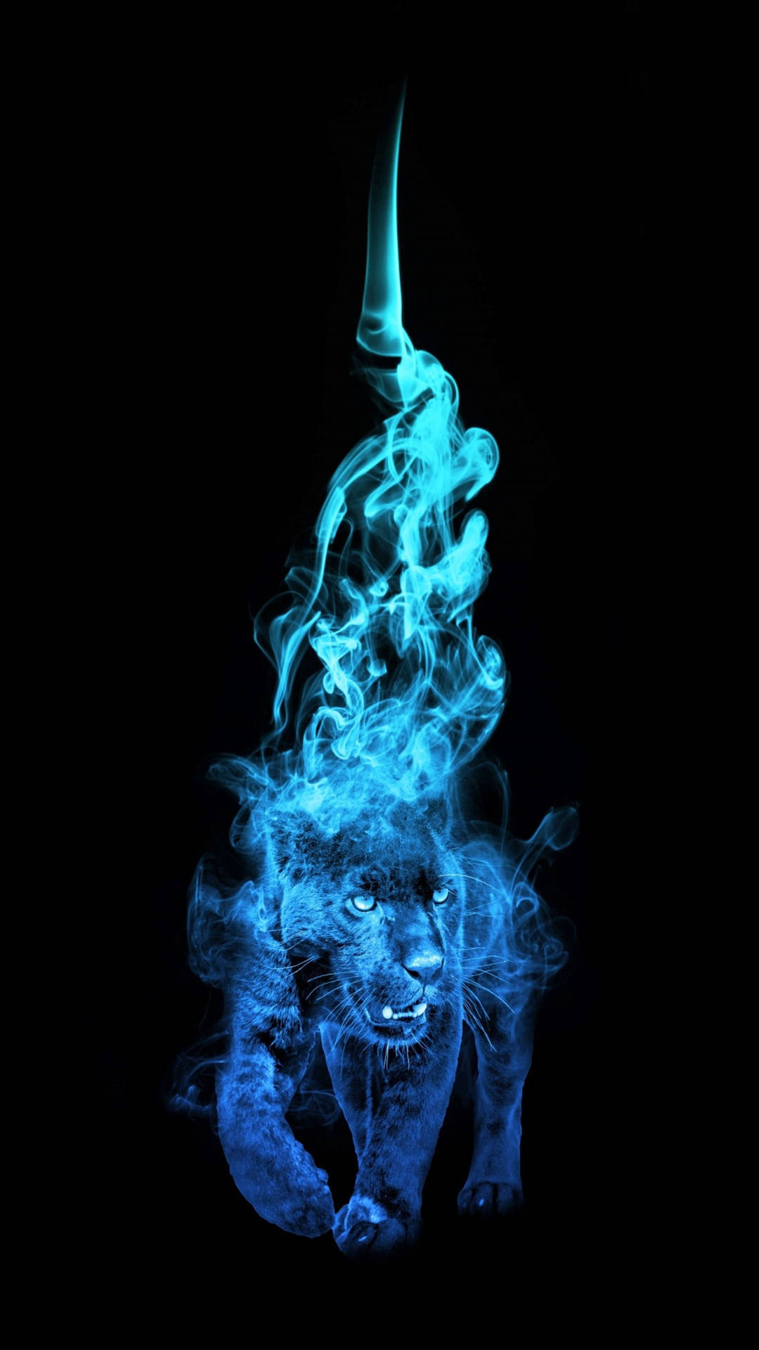 Panther Blue Flames Background