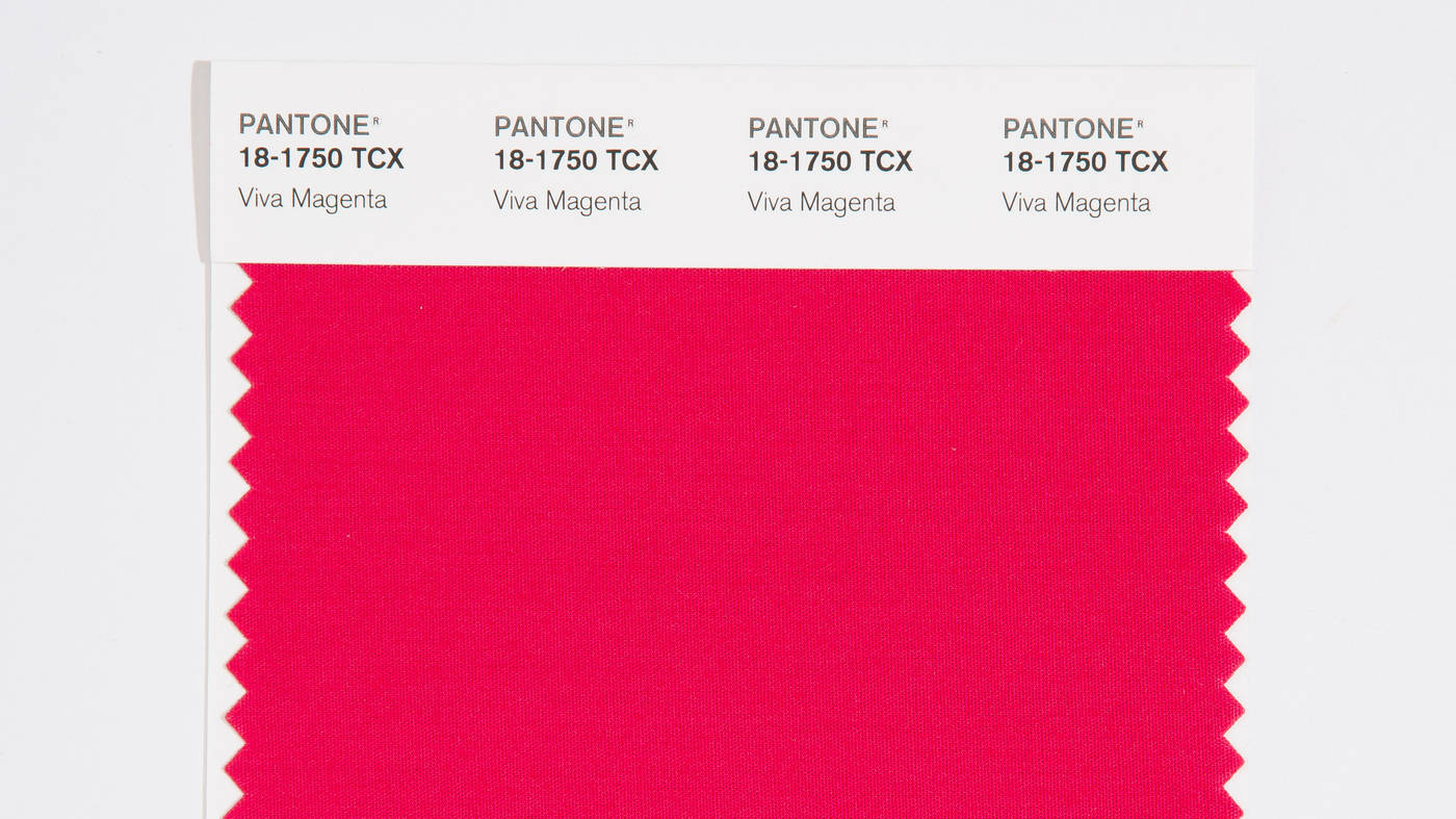 Pantone Viva Magenta Color Swatch