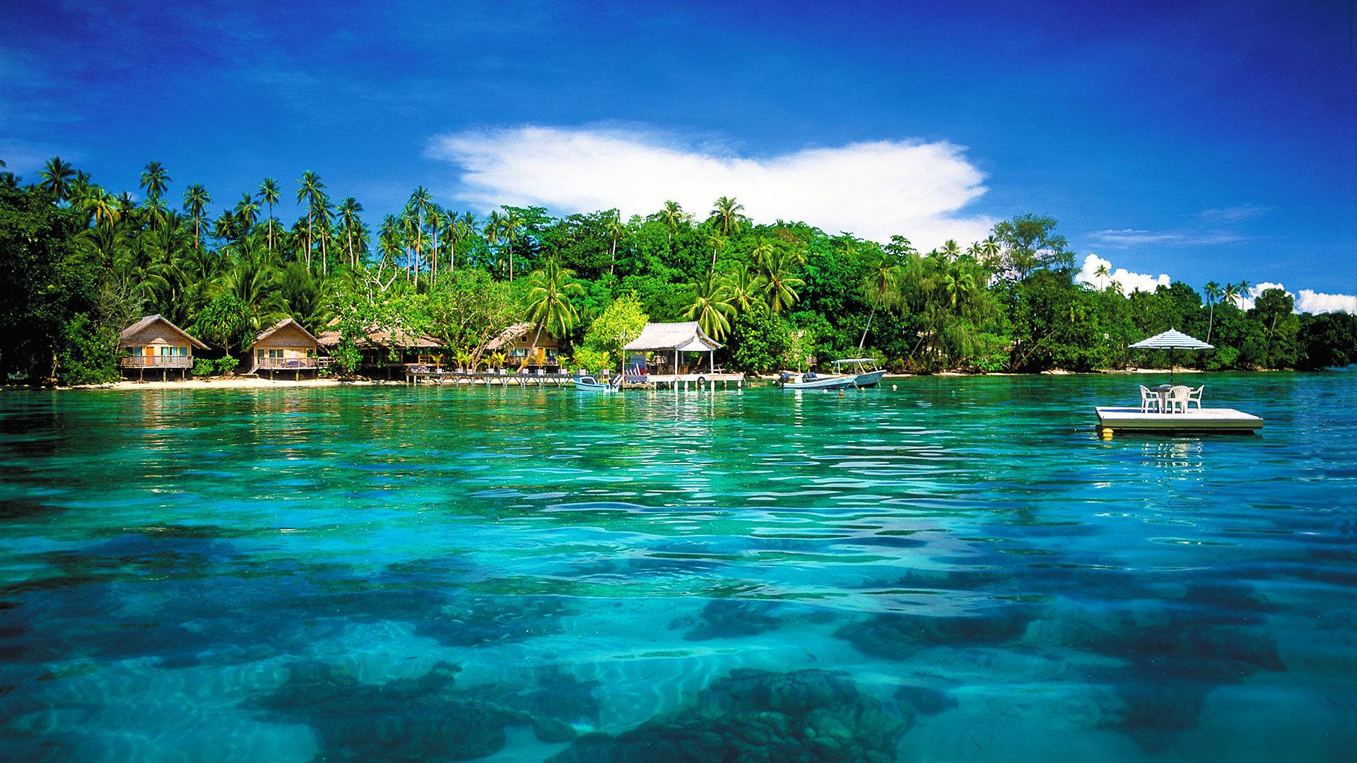 Papua New Guinea Beach Background