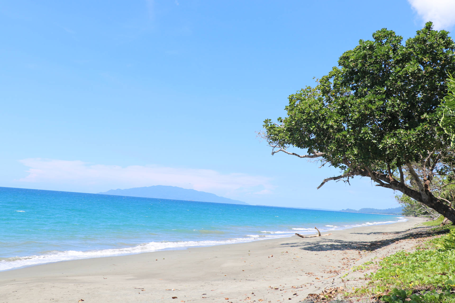 Papua New Guinea Beach Shore