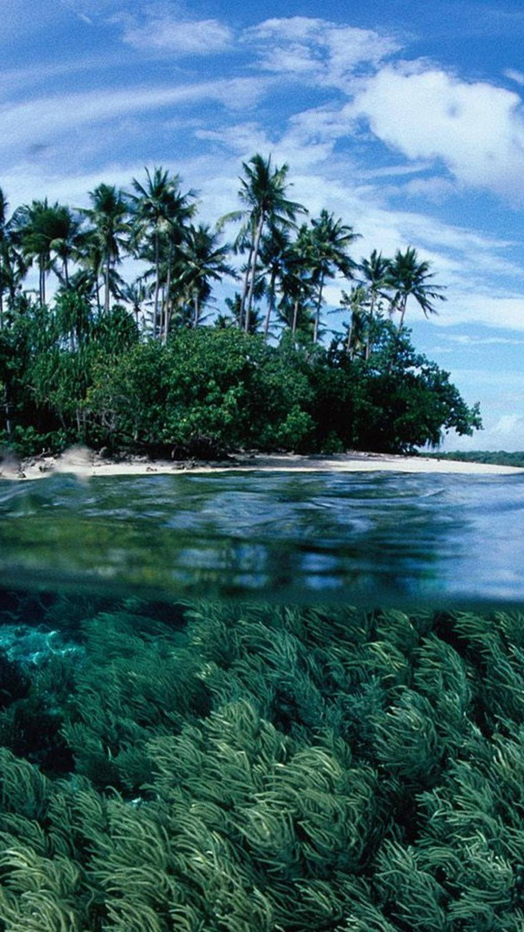 Papua New Guinea Crystal Clear