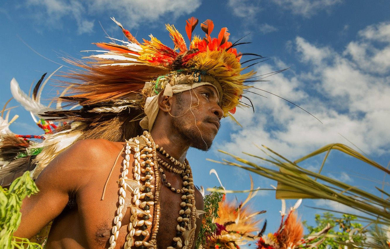 Papua New Guinea Feathered Headgear Background