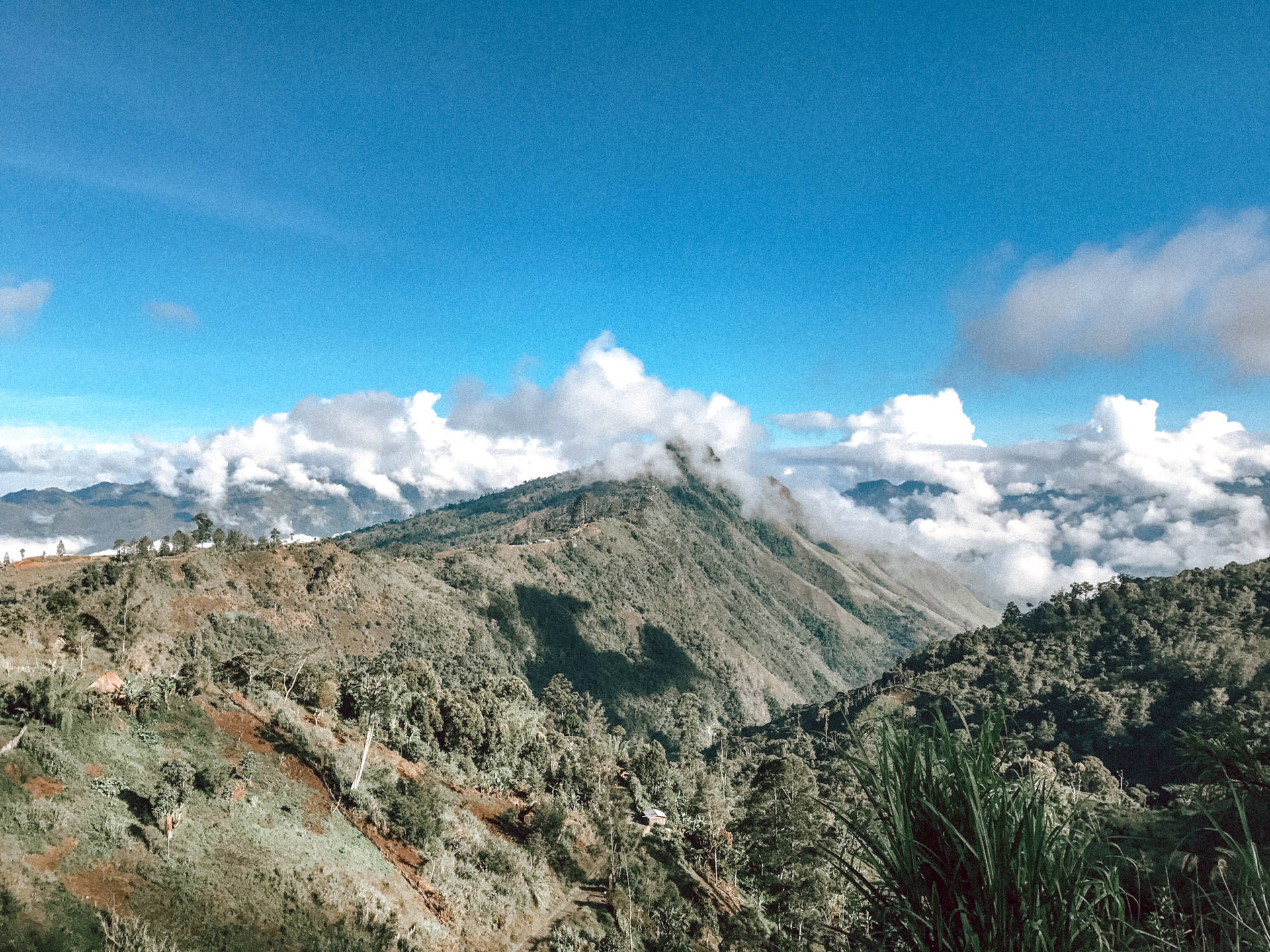 Papua New Guinea Green Mountains