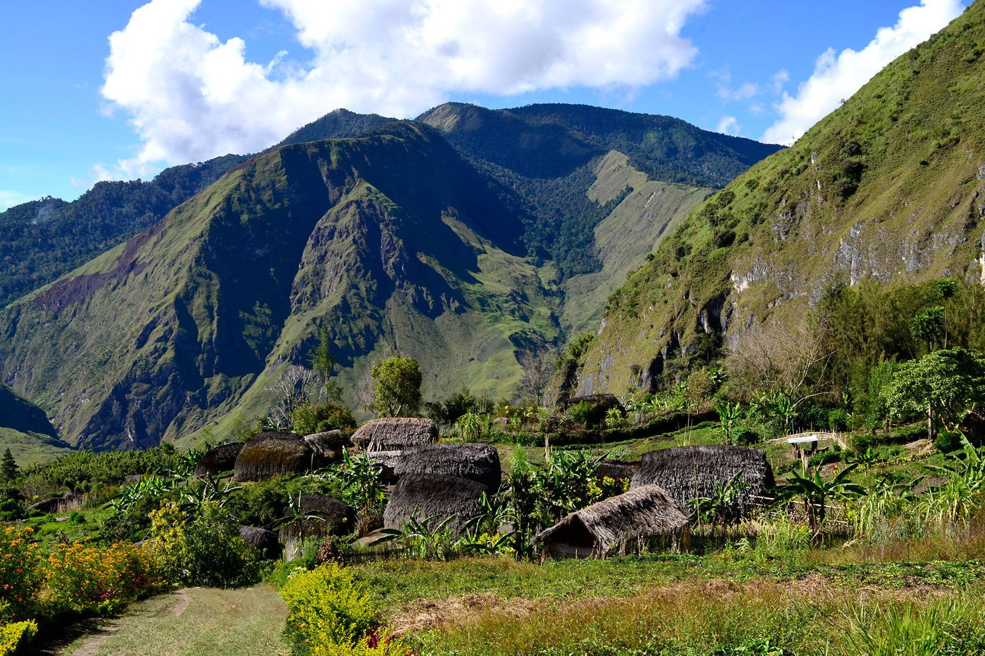 Papua New Guinea Highlands Background