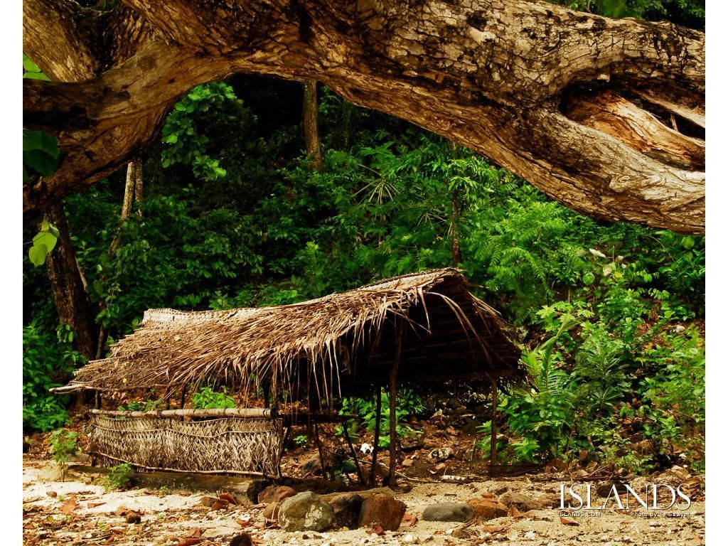 Papua New Guinea Hut Background