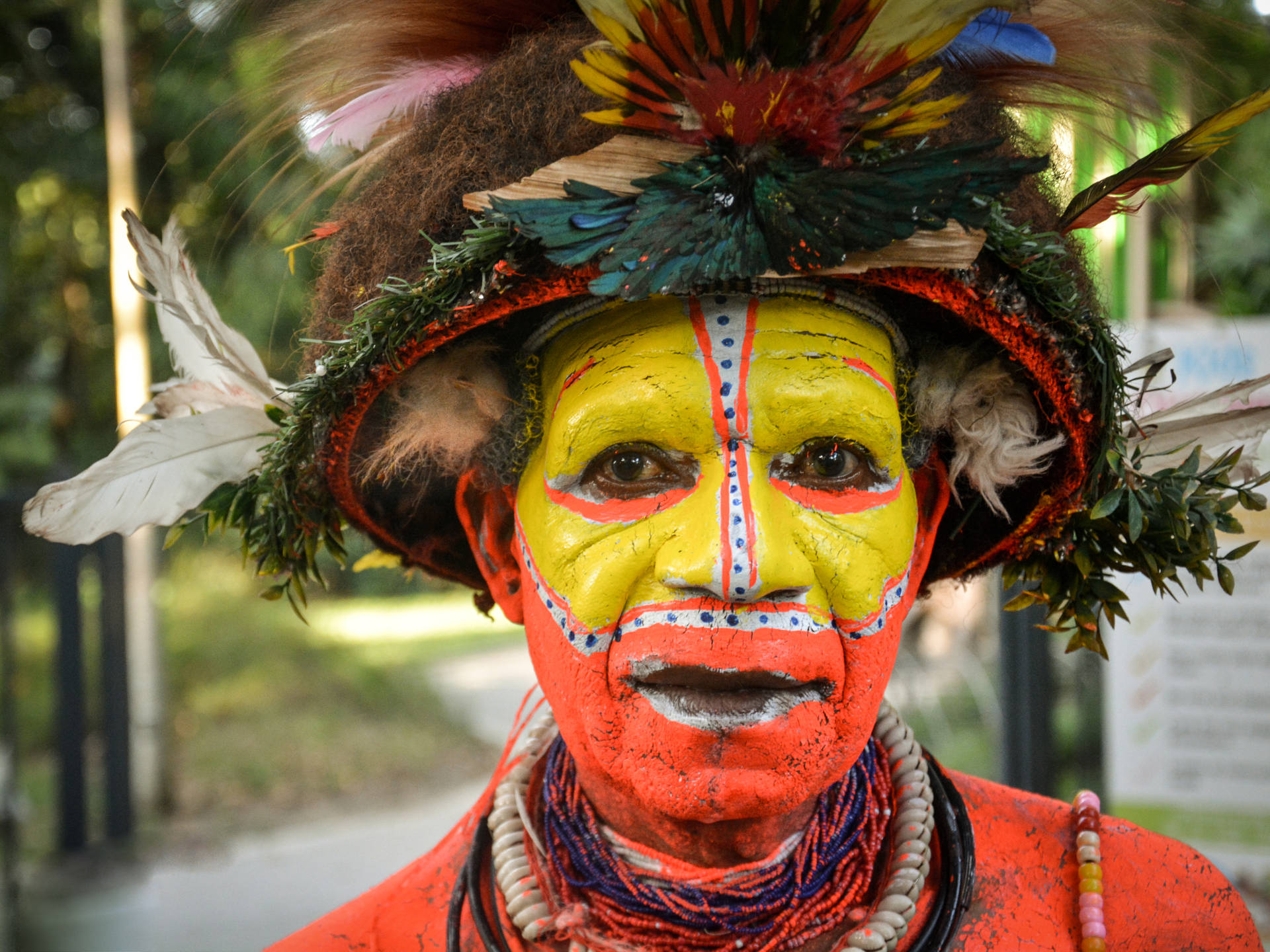 Papua New Guinea Man Background