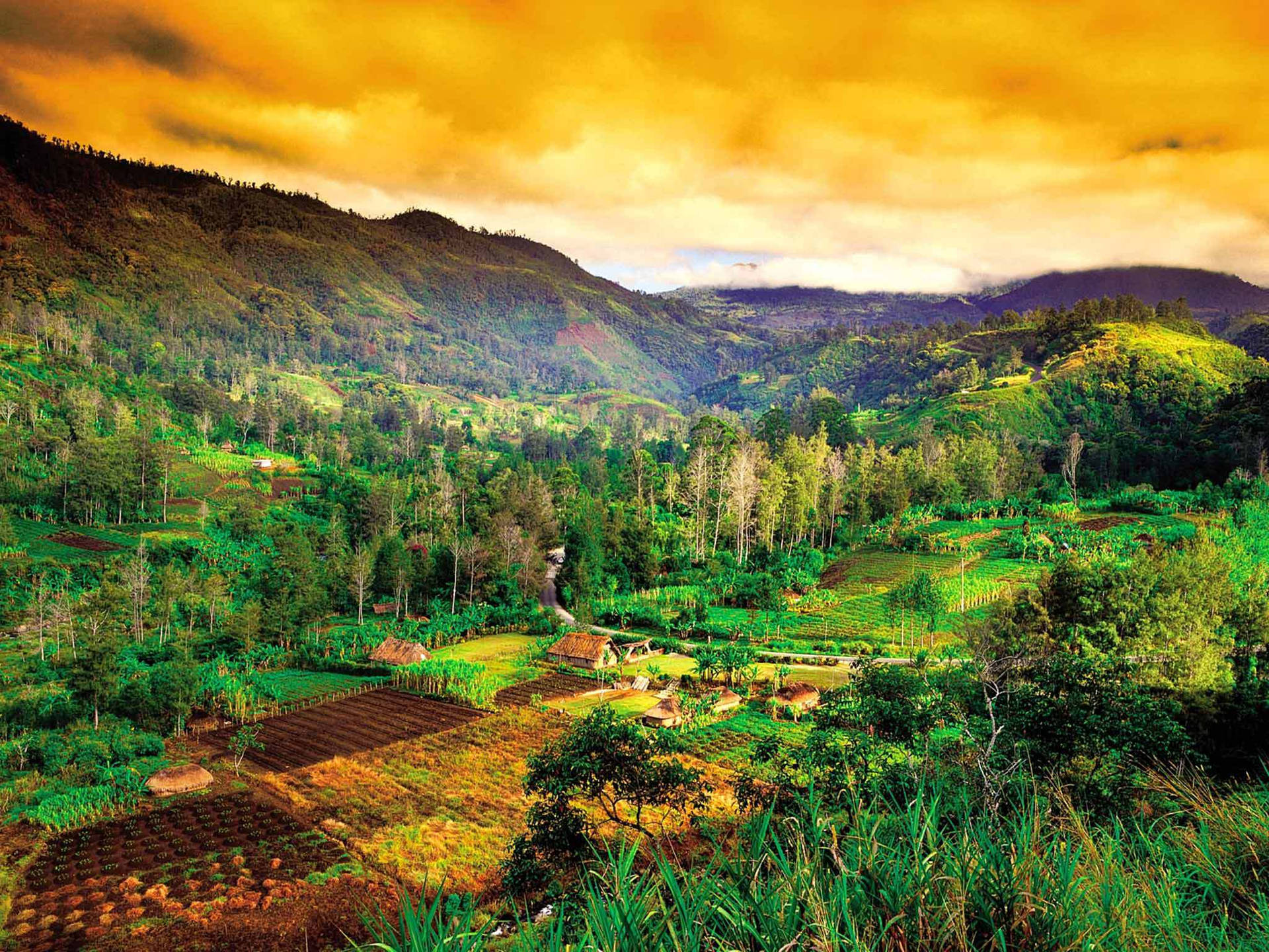 Papua New Guinea Orange Clouds