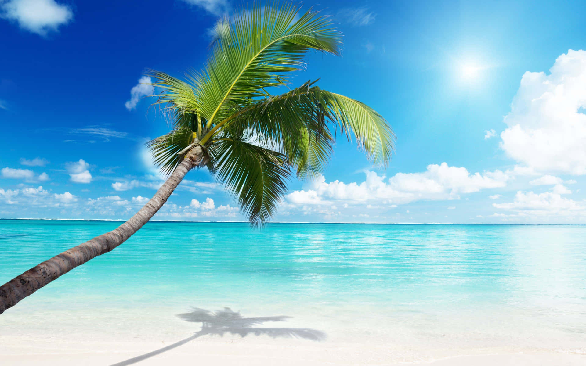 Paradise Awaits At Palm Tree Beach Background