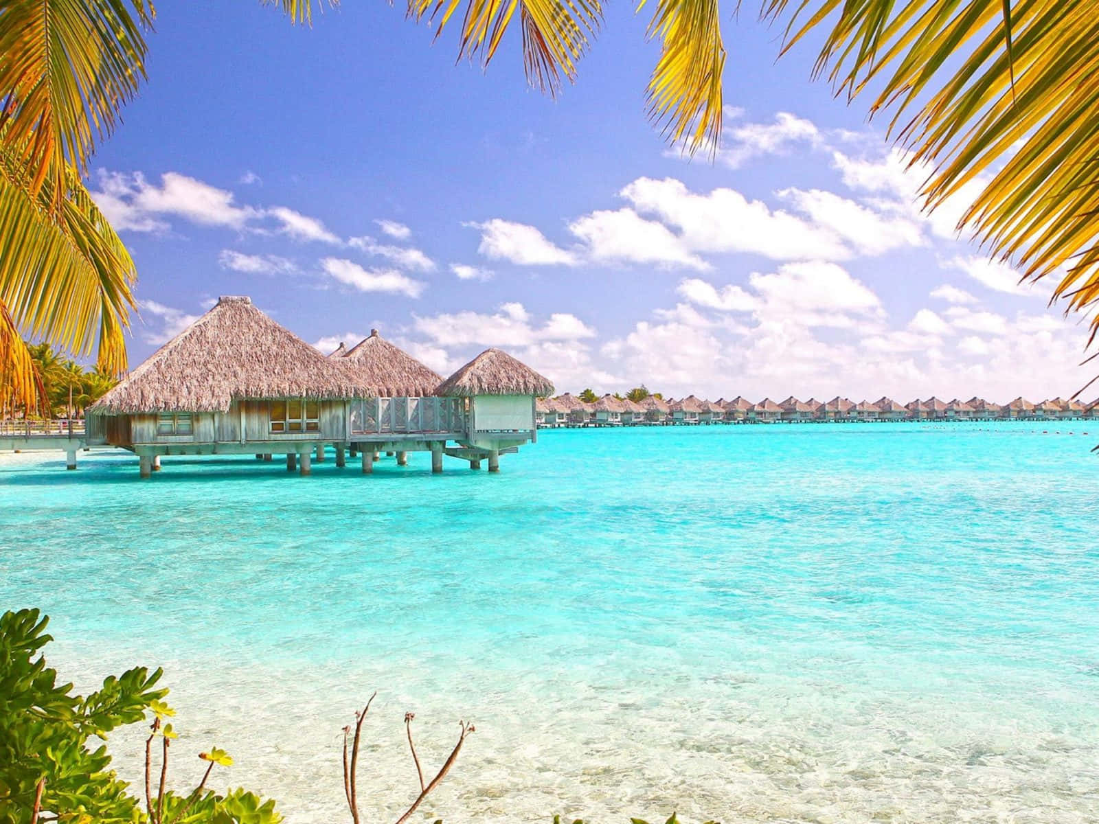 Paradise In Bora Bora Background