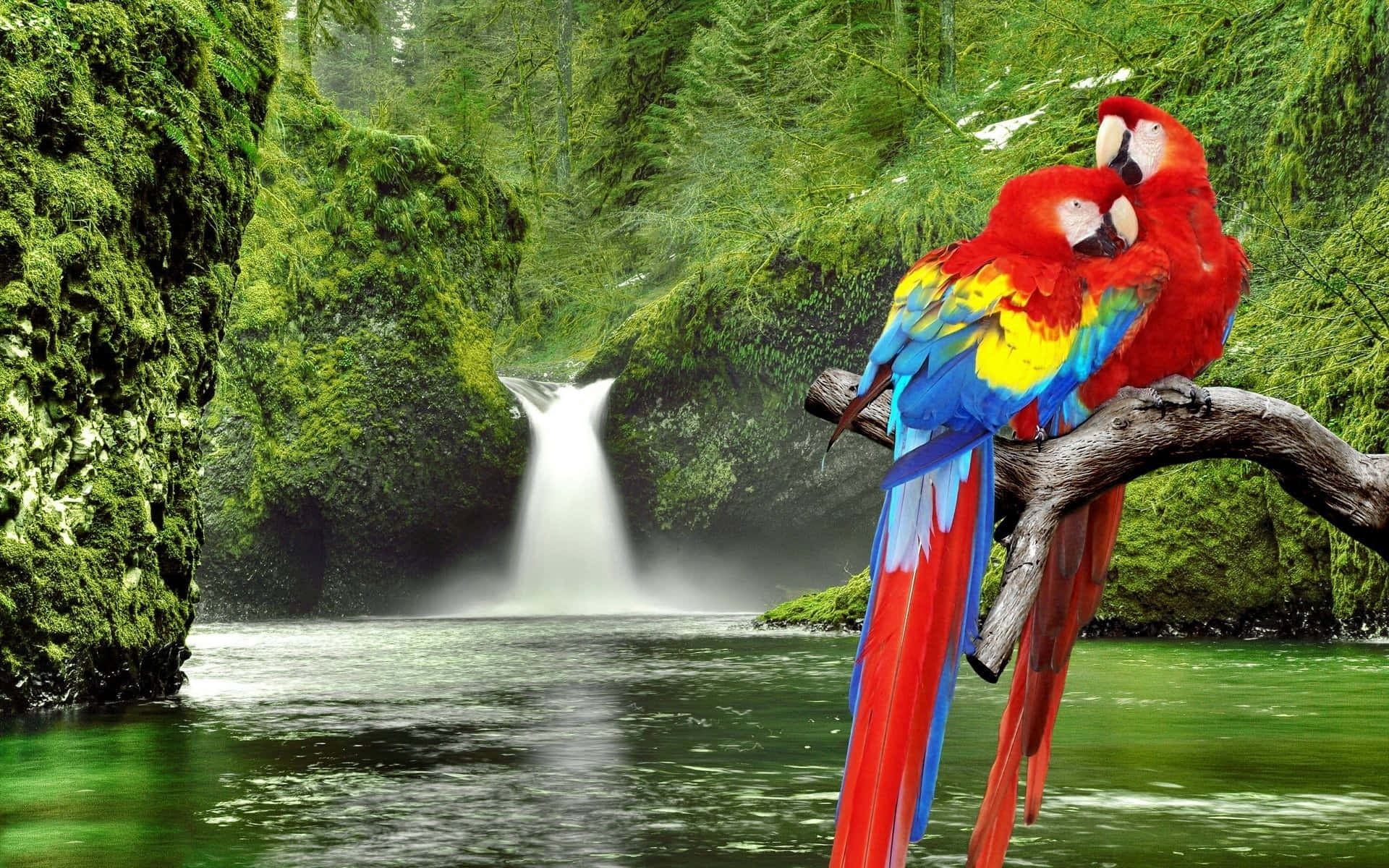 Paradise In Jehovah Background
