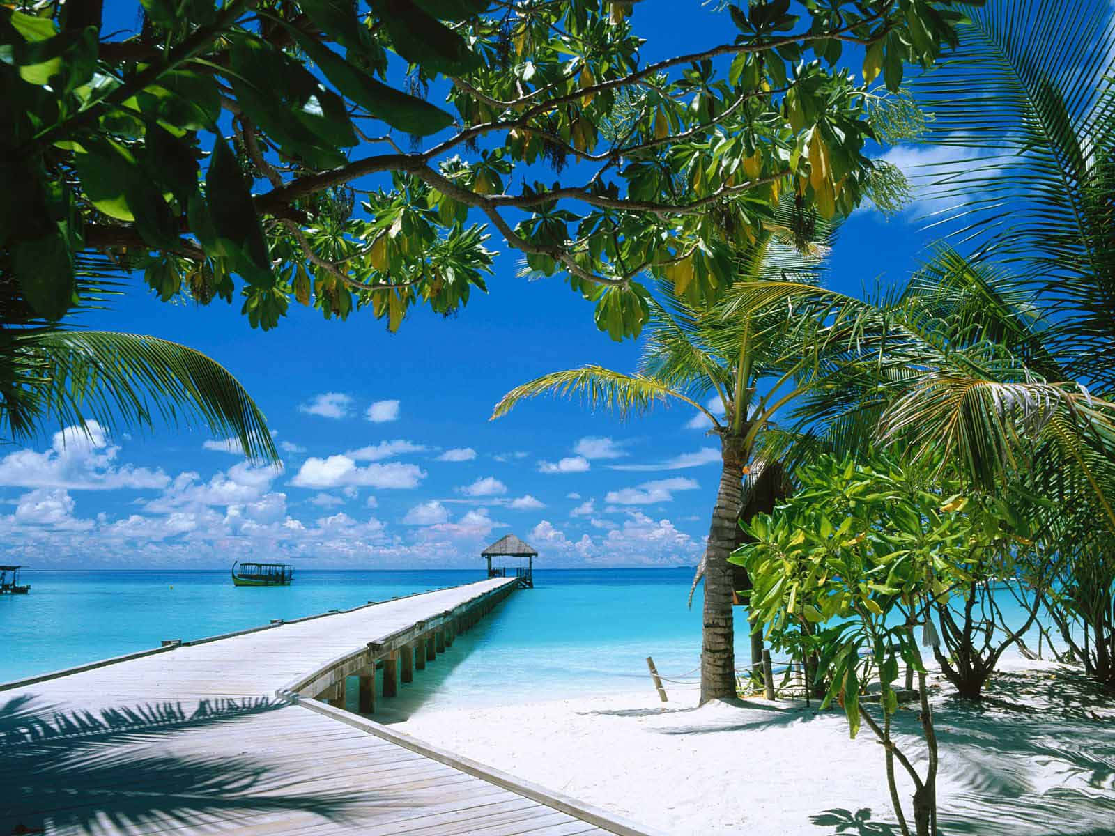 Paradise