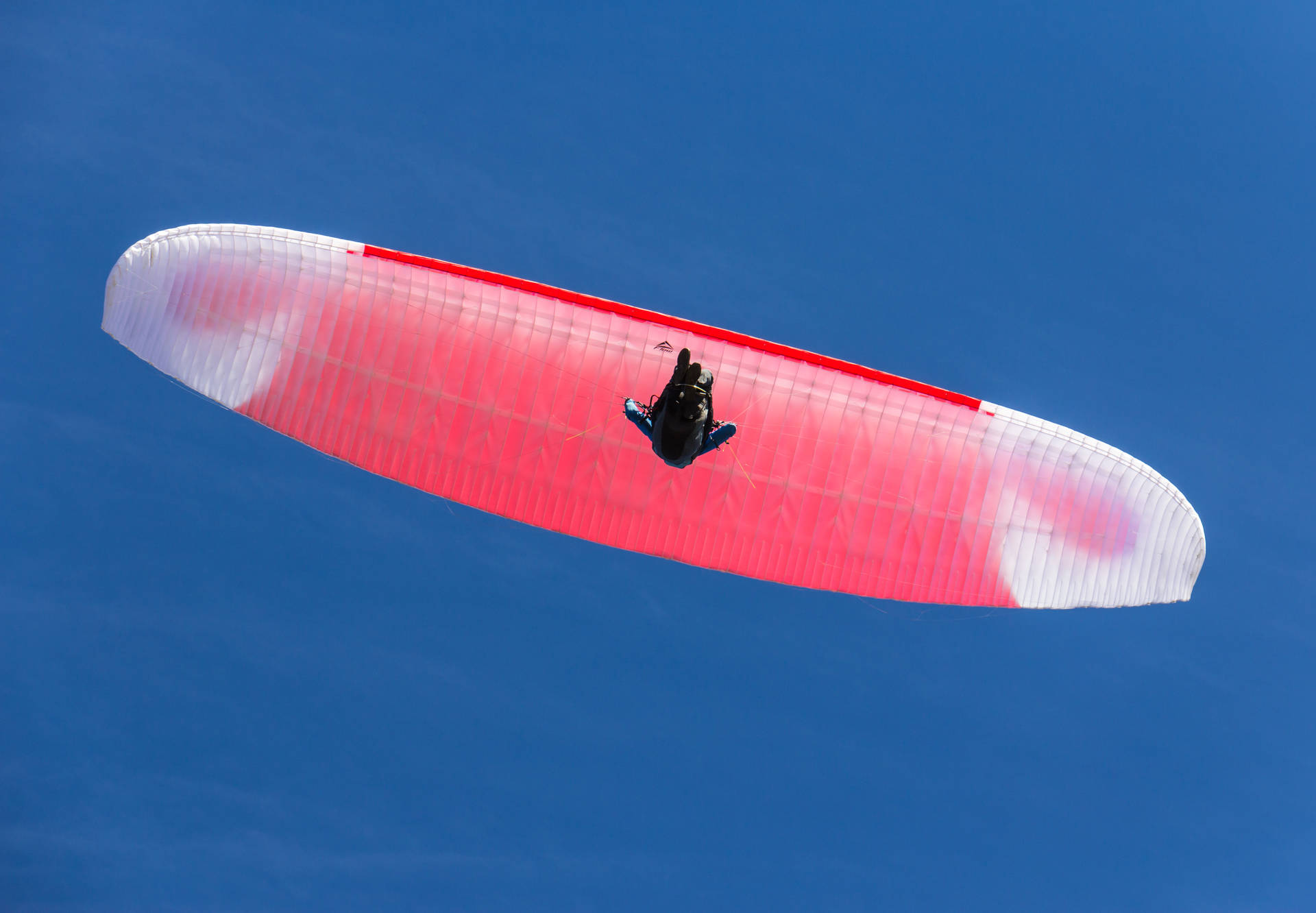 Paragliding In Worm's Eye View Background