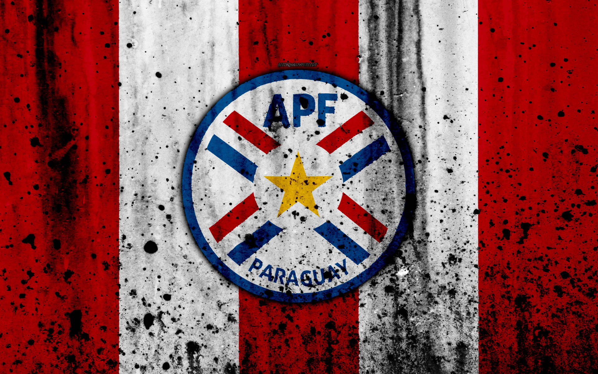 Paraguay Apf Patch Background