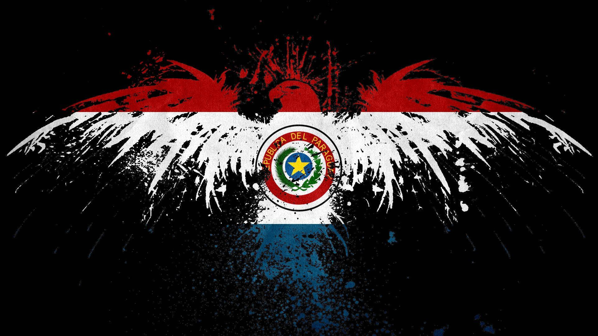 Paraguay Flag Eagle Outline Background