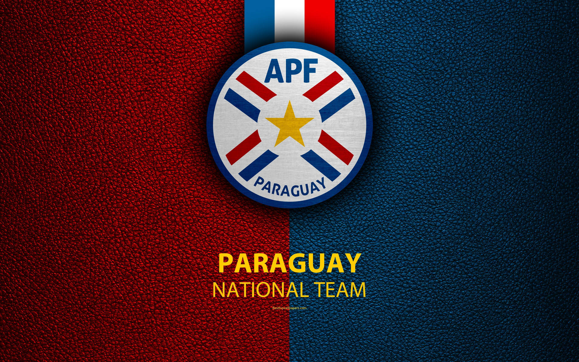 Paraguay National Team Medal Background