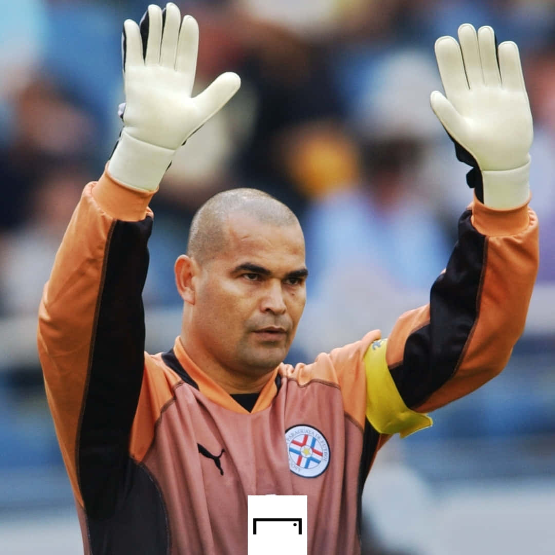 Paraguayan Football Goalkeeper Jose Luis Chilavert At 2002 World Cup Background