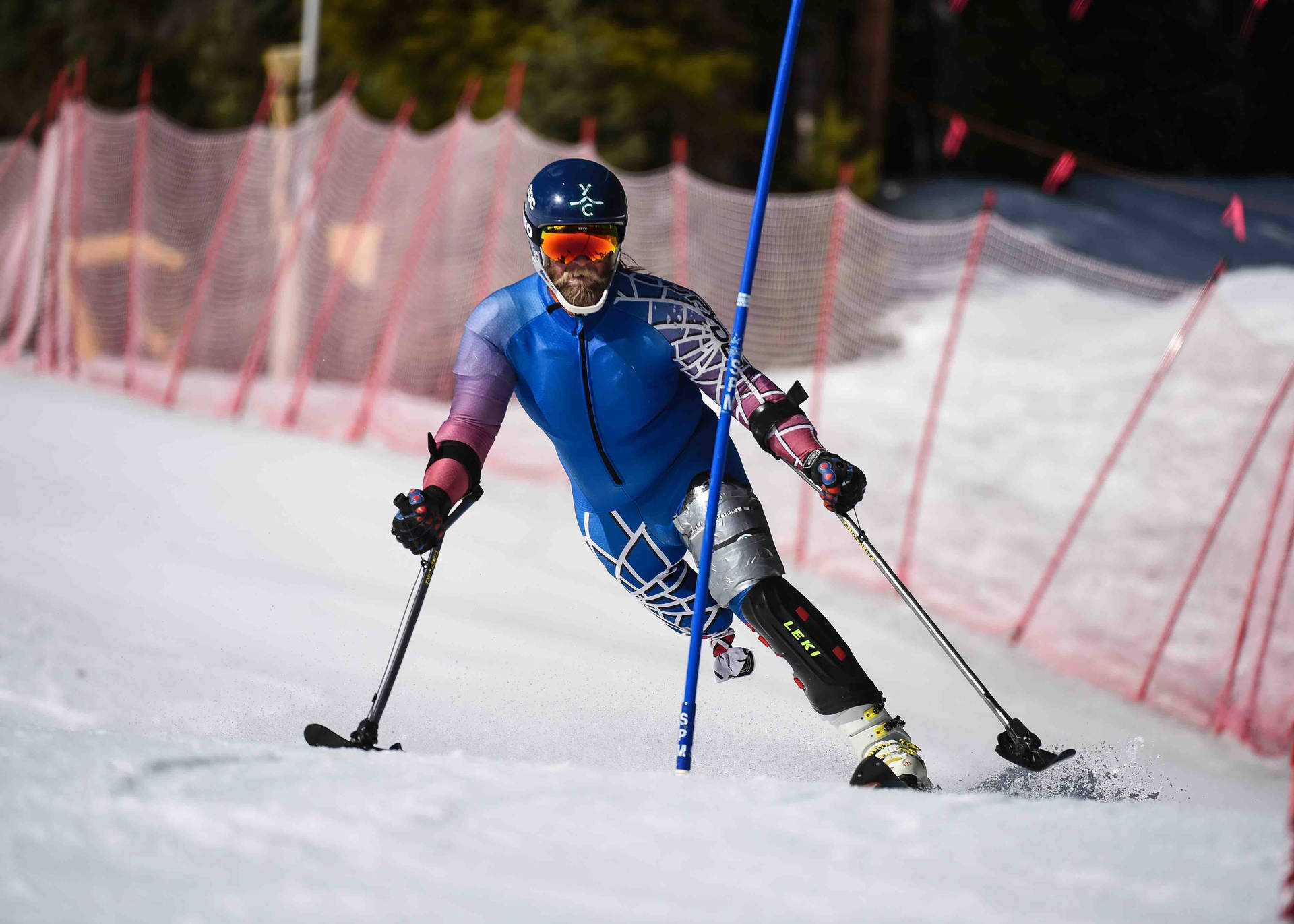 Paralympic Alpine Skiing Background