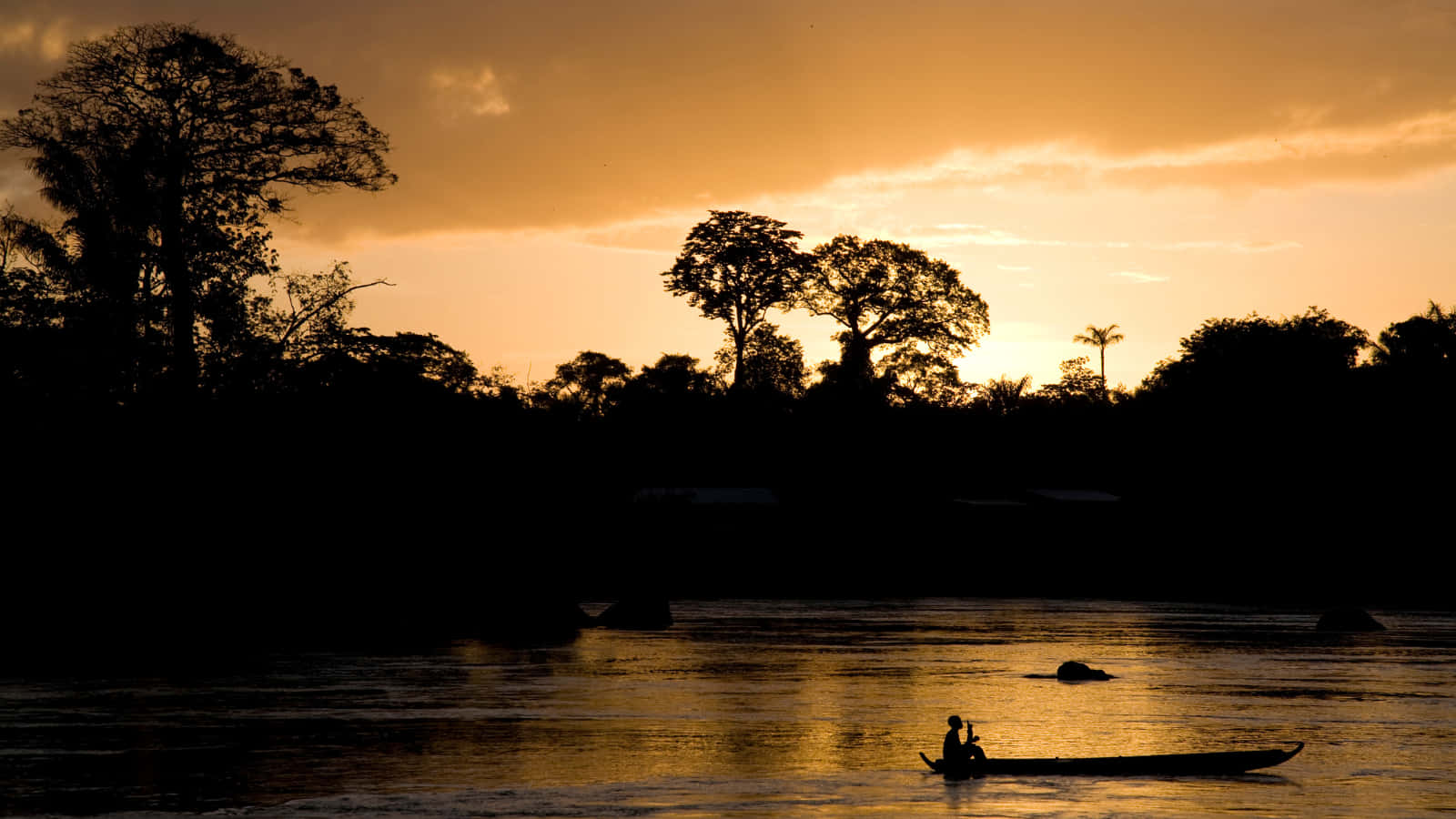 Paramaribo Sunset Silhouette Background