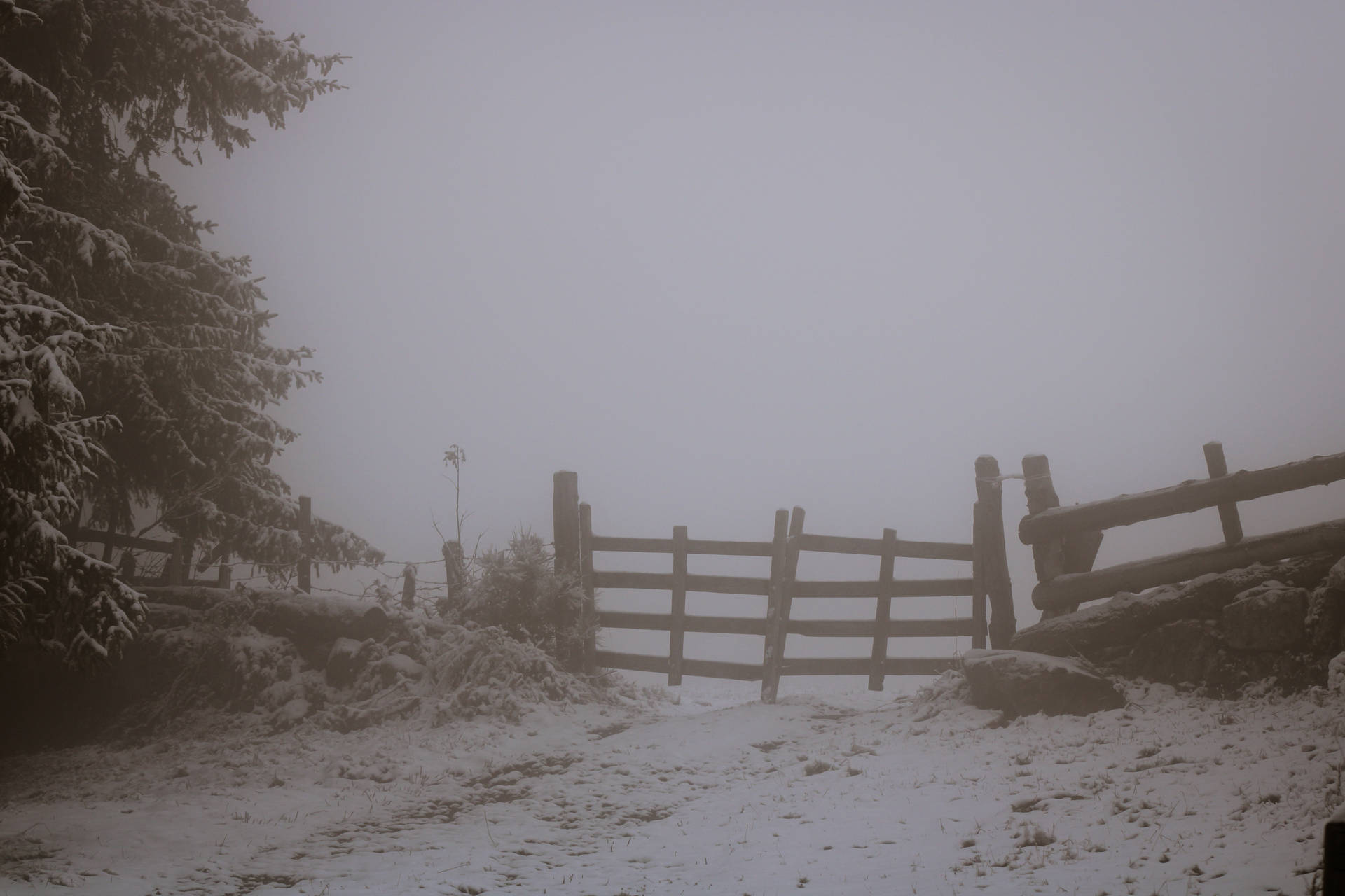 Paranormal Foggy Winter Farm Background