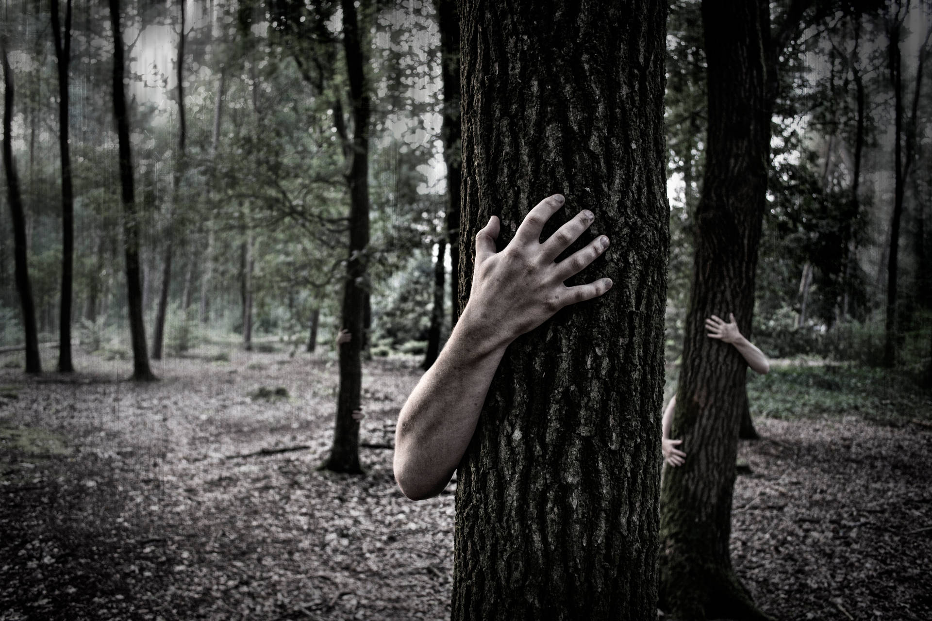 Paranormal Spooky Hands On Trees Background