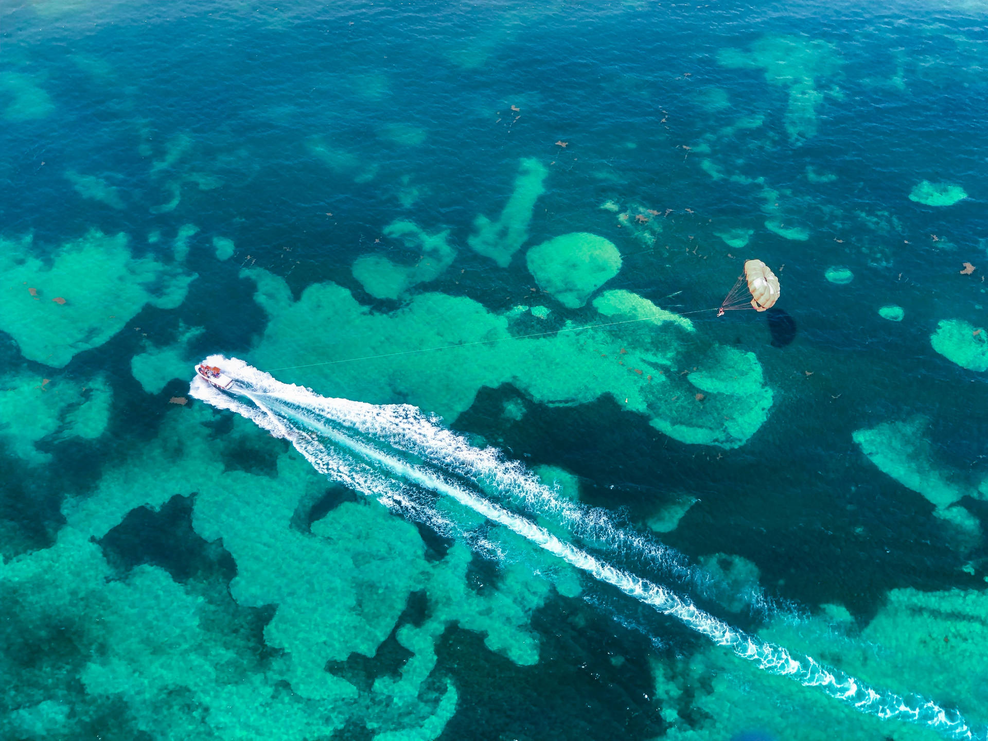 Parasailing Above The Coral Reeves Background