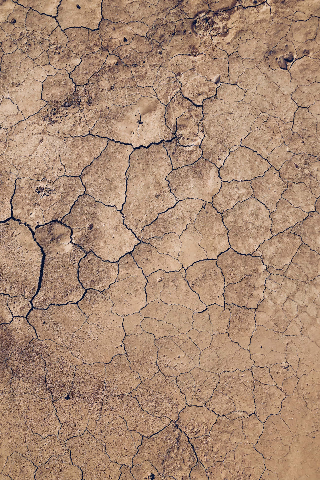 Parched Earth - A Striking View Of Cracked Dry Soil Background