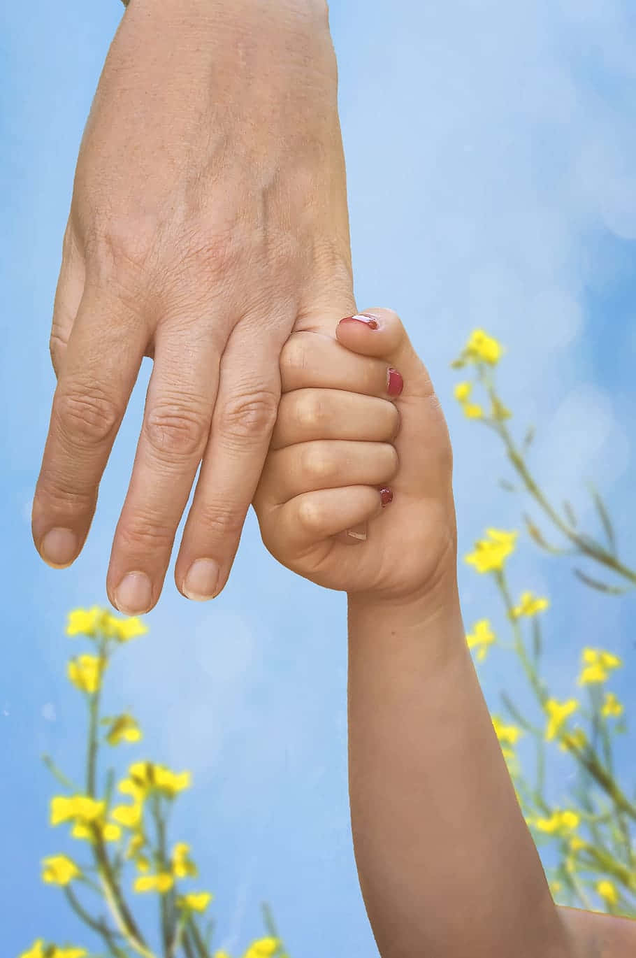 Parent Child Hand Hold Sky Background