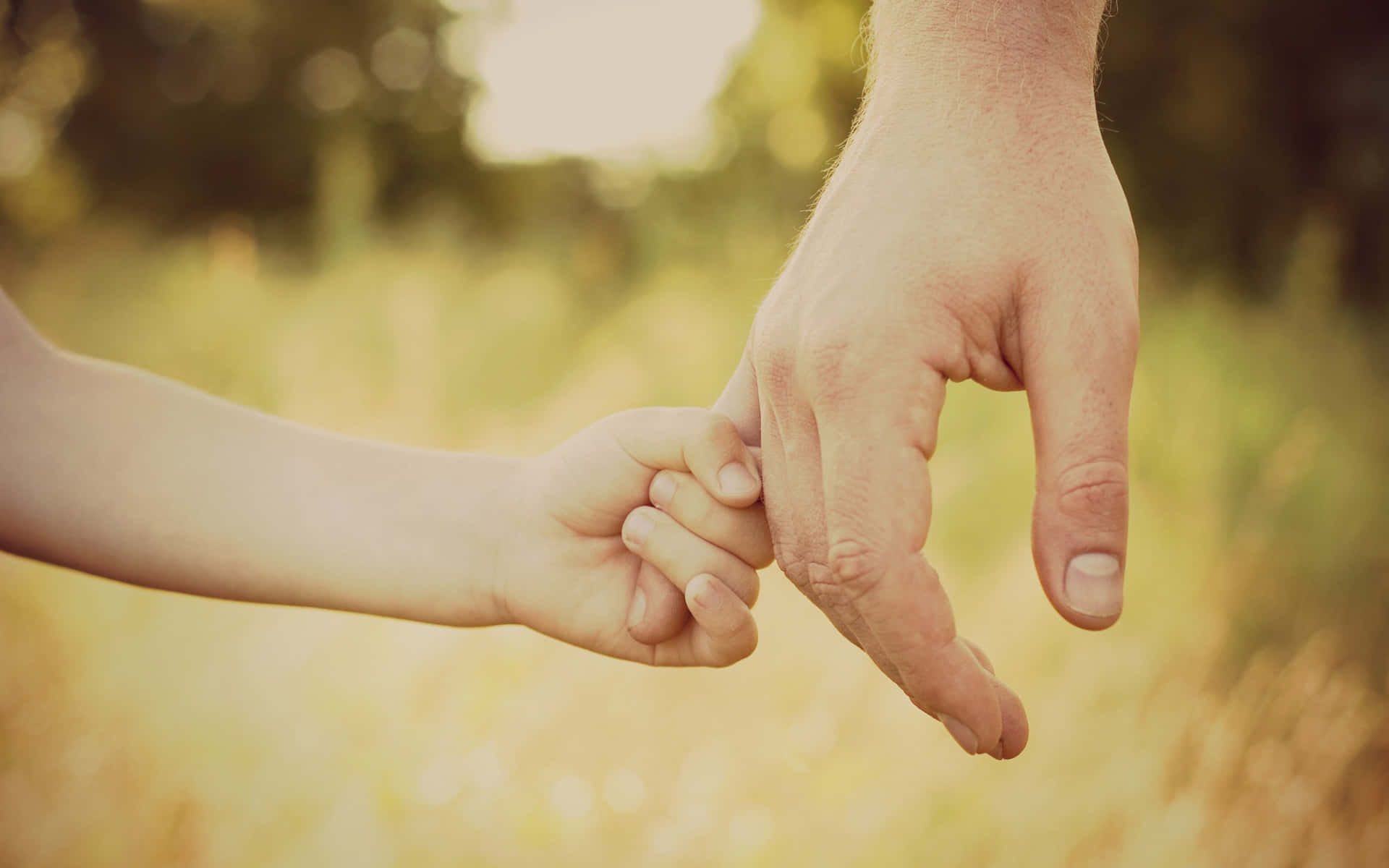 Parent Child Hand Hold