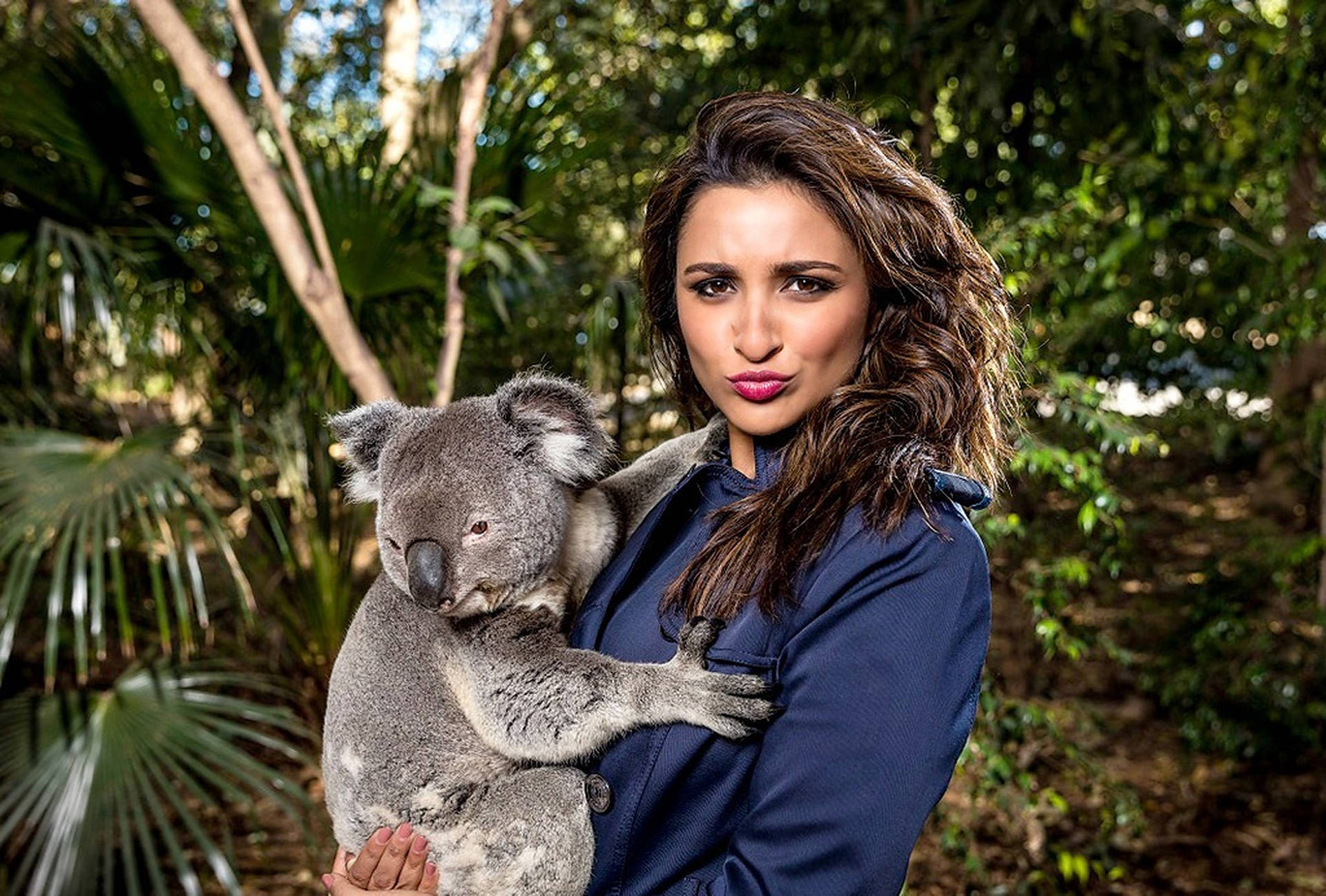 Parineeti Chopra With Koala Background