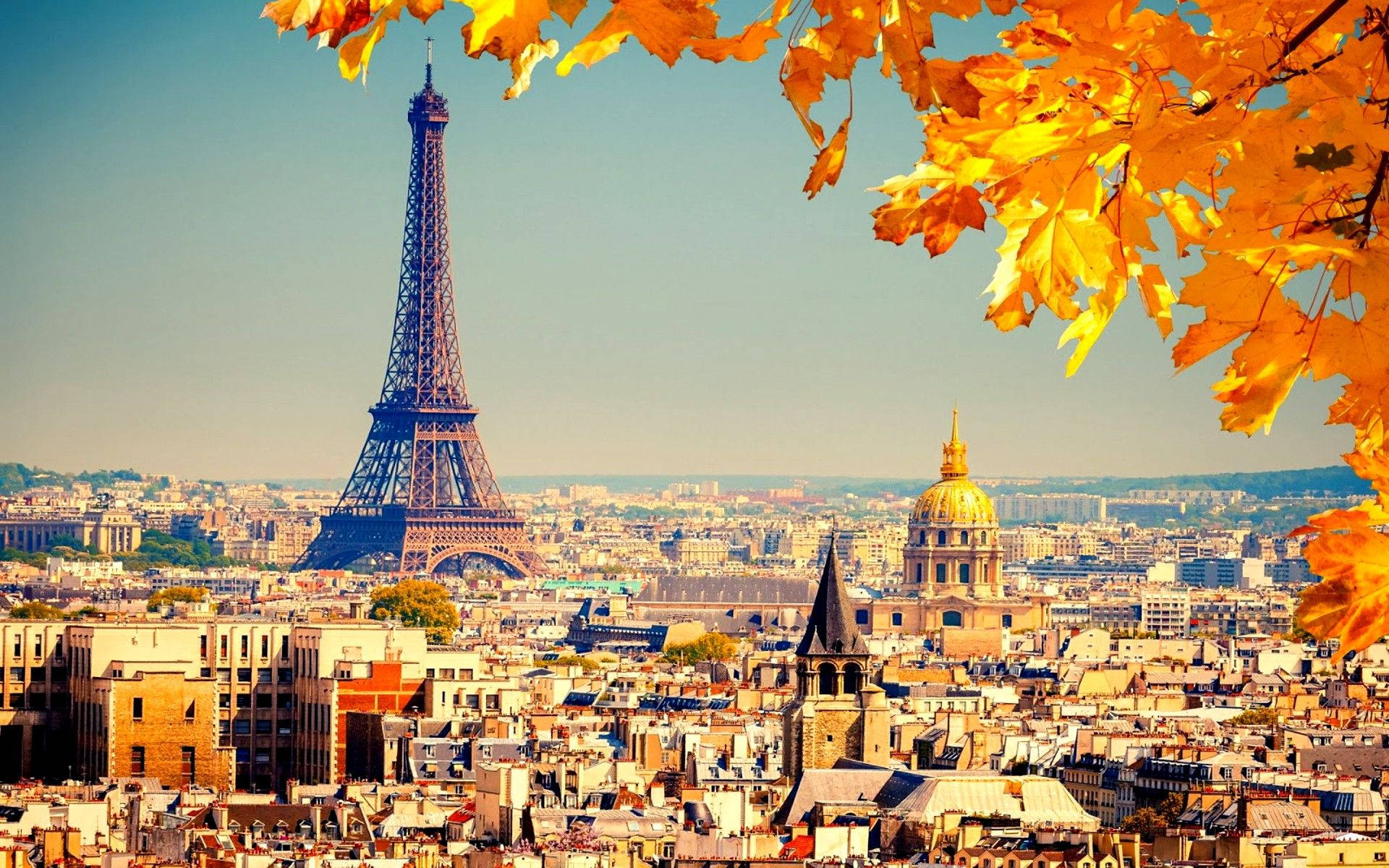 Paris Autumn Leaves Background
