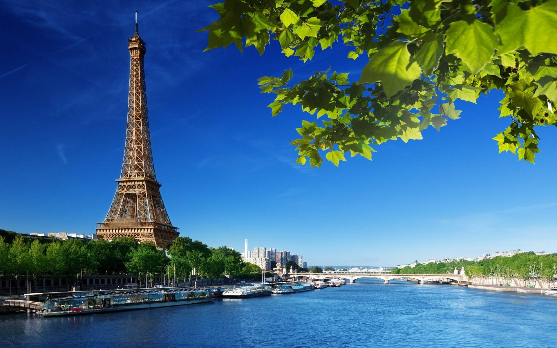 Paris Eiffel Tower On Daylight Background