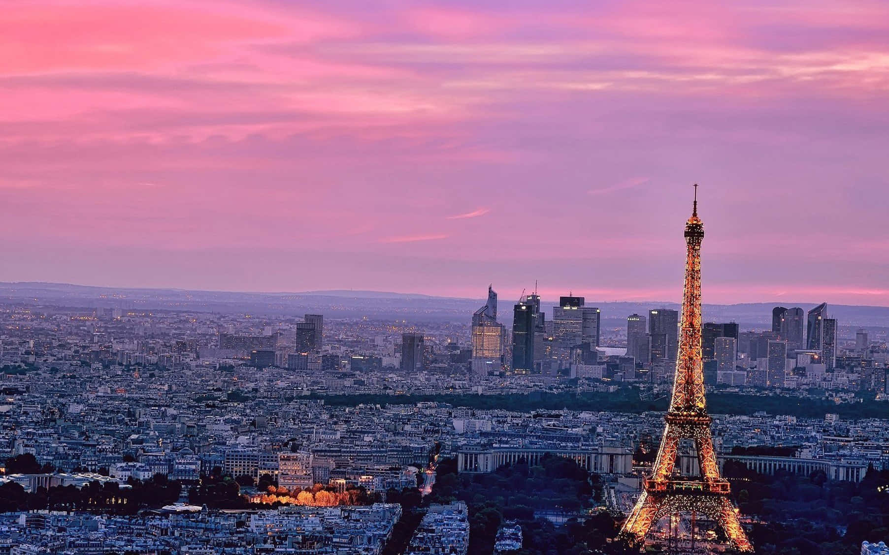 Paris Pink City