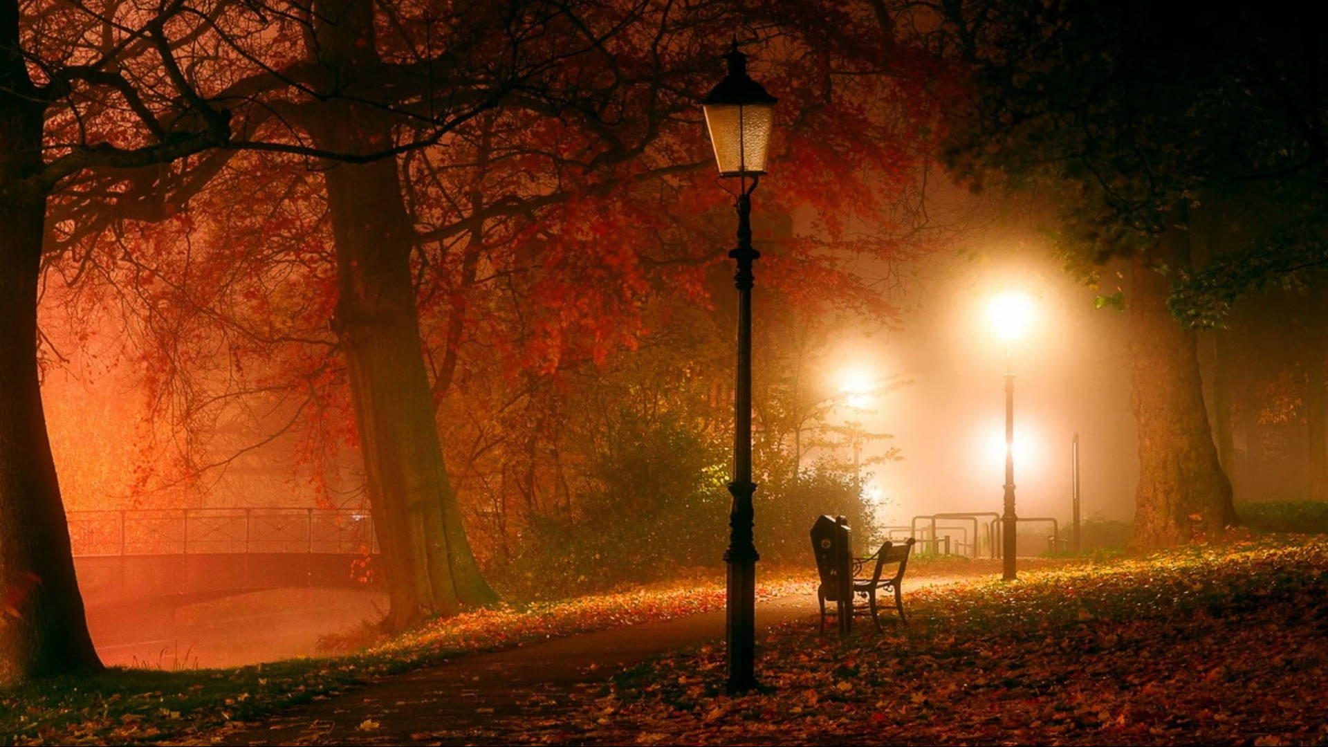 Park At Night During Autumn Macbook Background