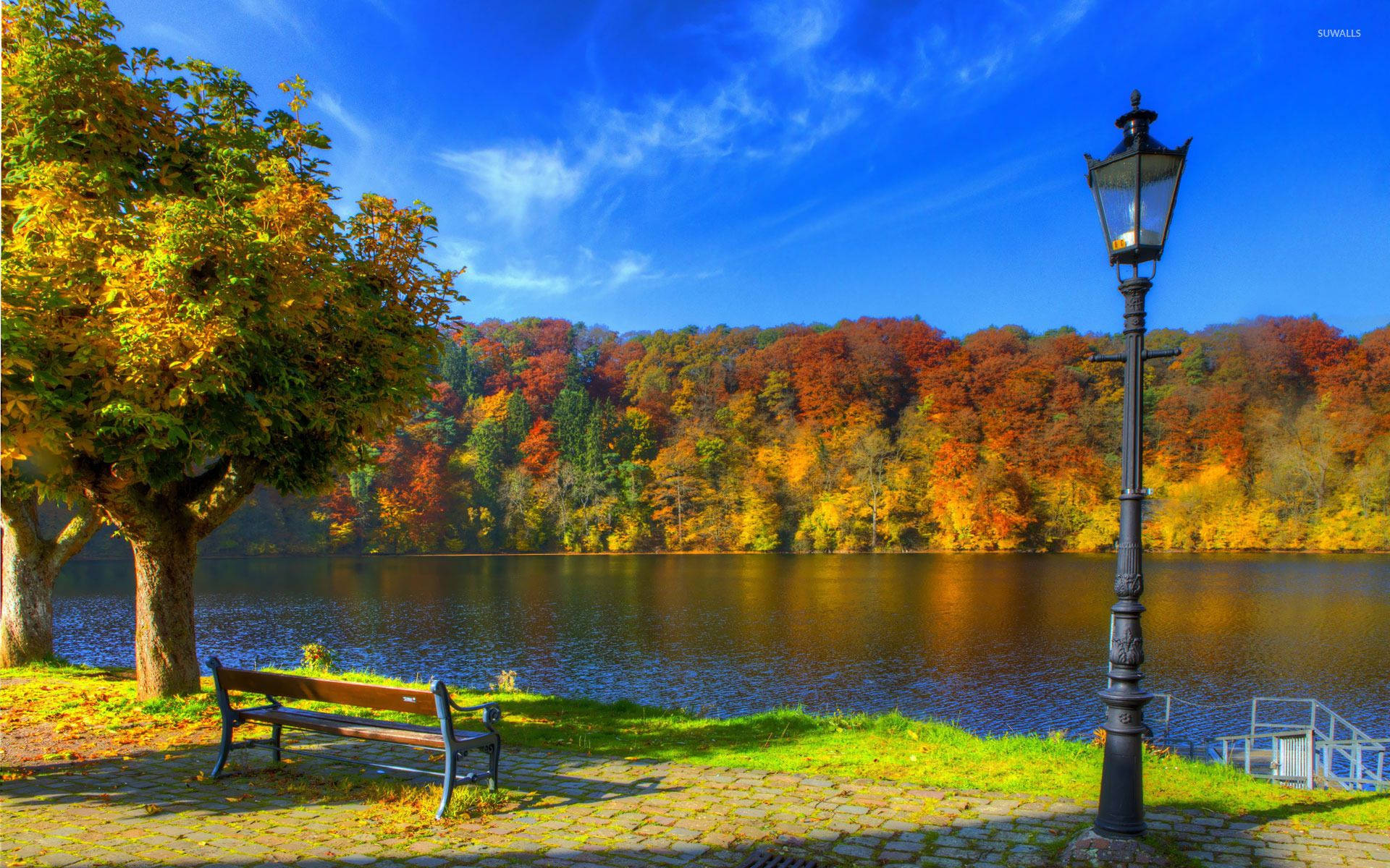 Park Bench Along The Riverside