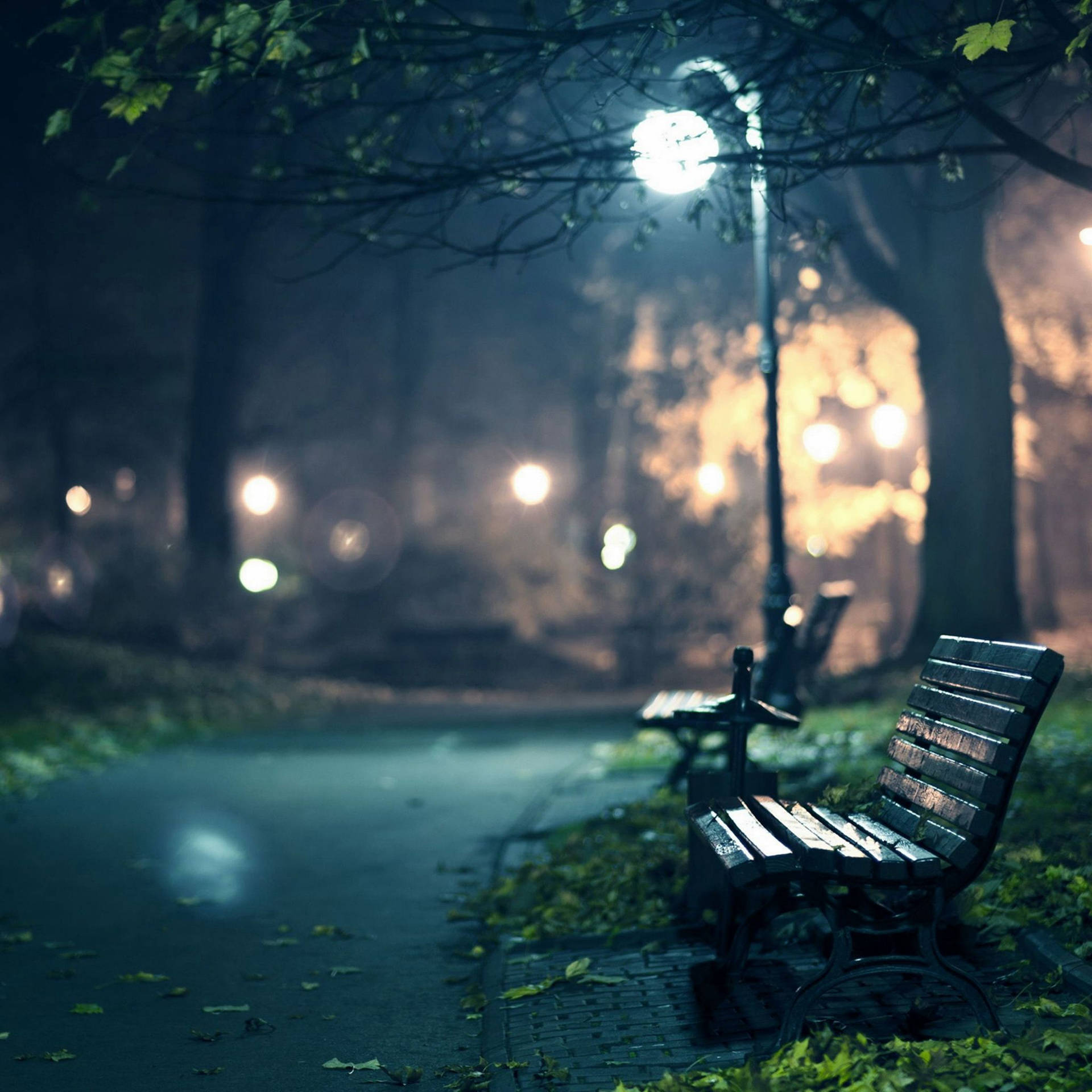 Park Bench Dim Background