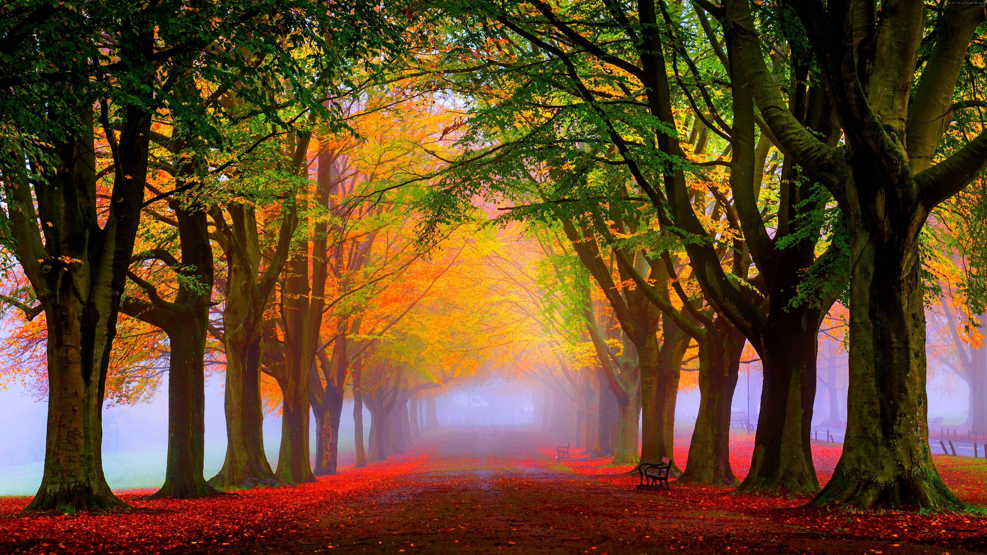 Park Bench In Autumn Macbook Background