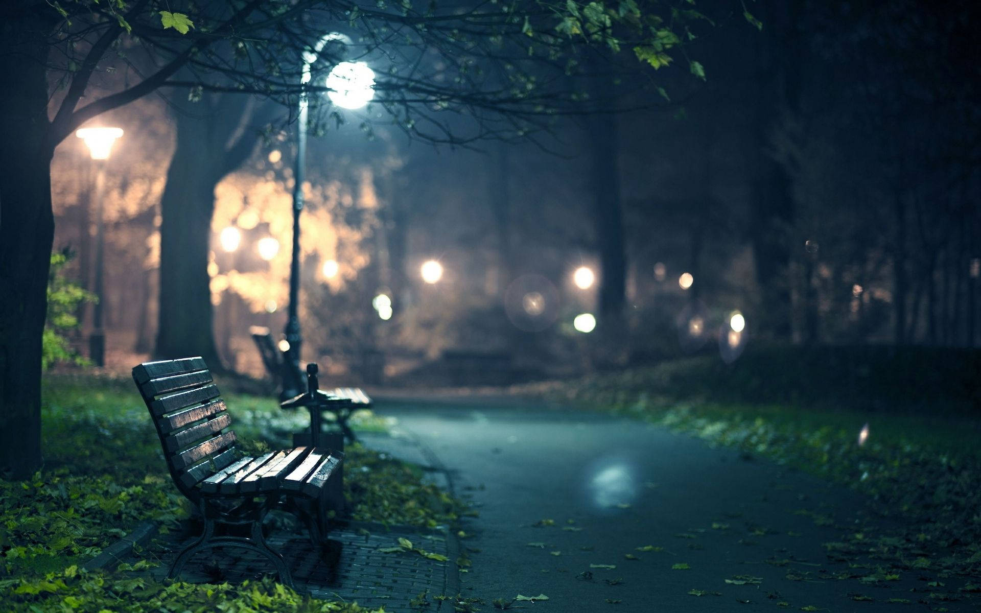 Park Bench On Full Hd Computer Desktop Background