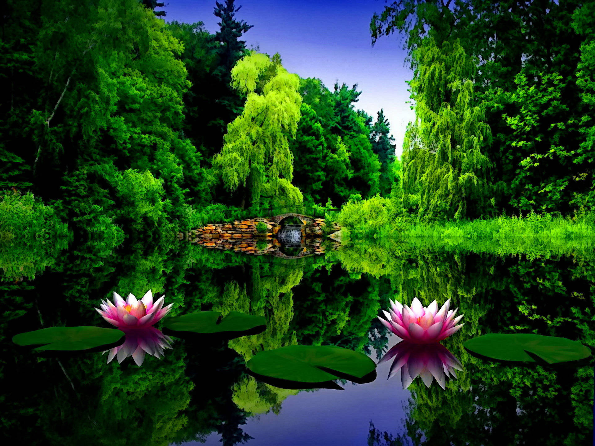 Park Lotus And Lily Pads Background