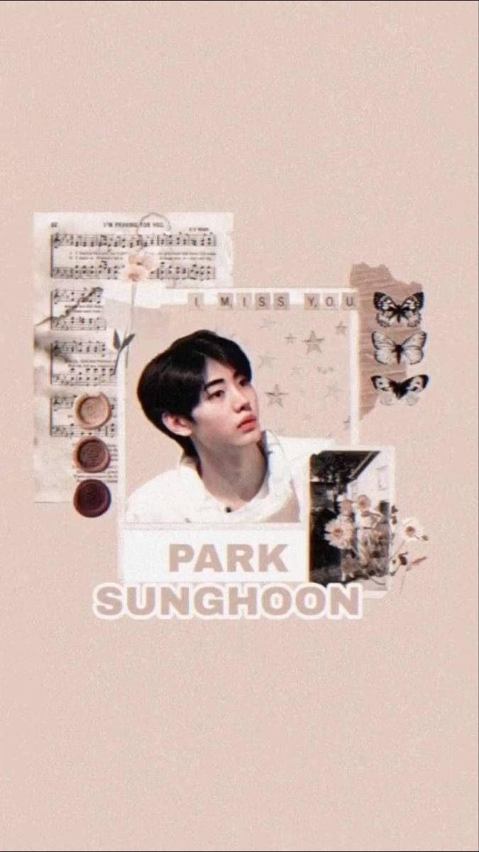 Park Sunghoon Pink Enhypen Aesthetic Background