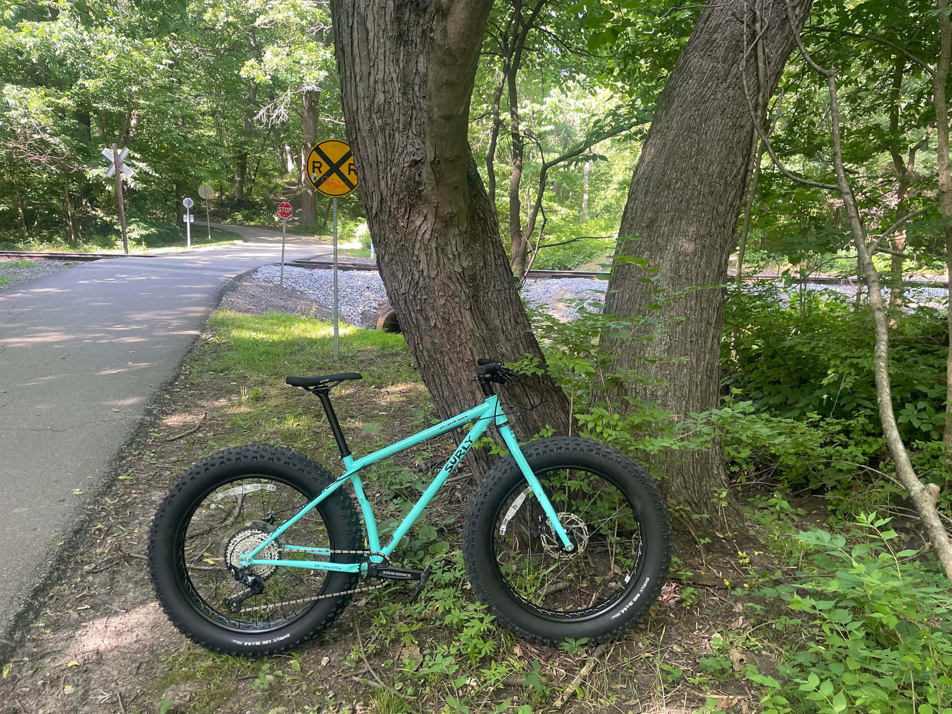 Parked Surly Fat Bike Background