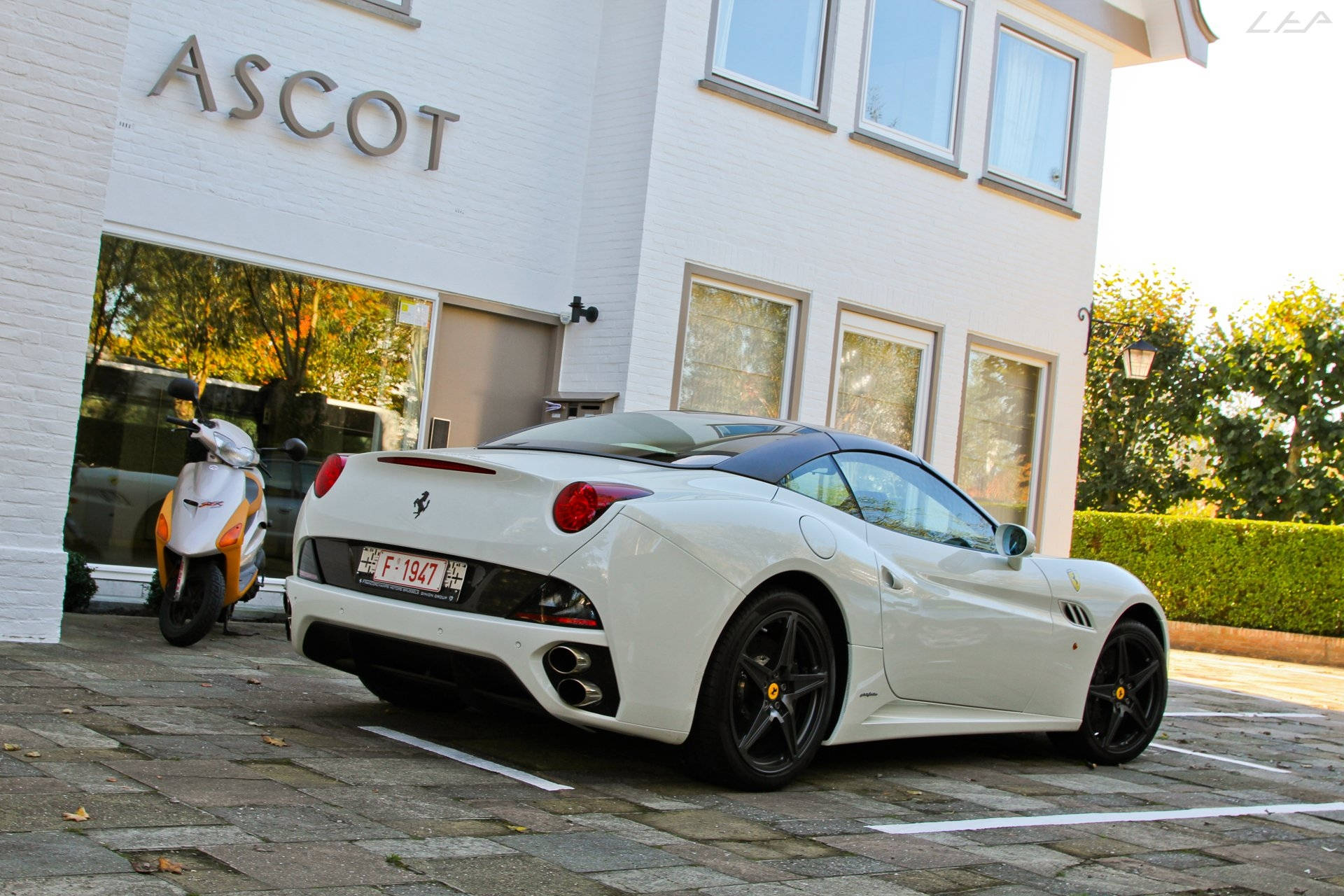 Parked White Ferrari Background
