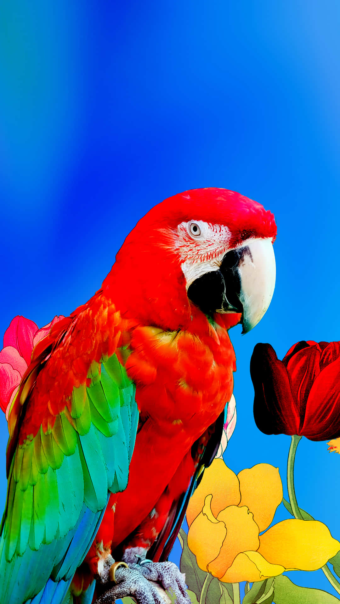 Parrot Among Drawn Flowers Background