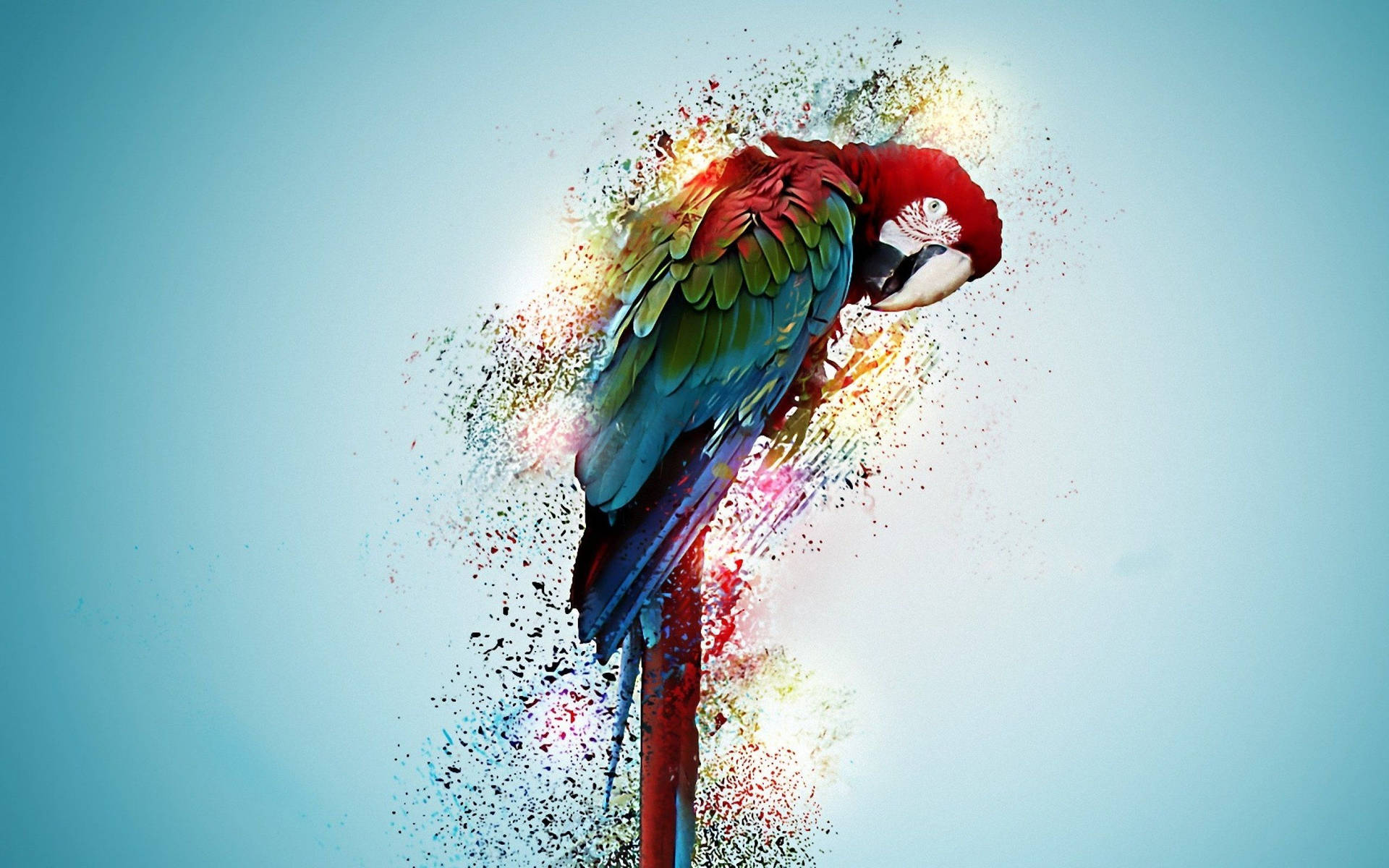 Parrot Bird Psychedelic Art Background
