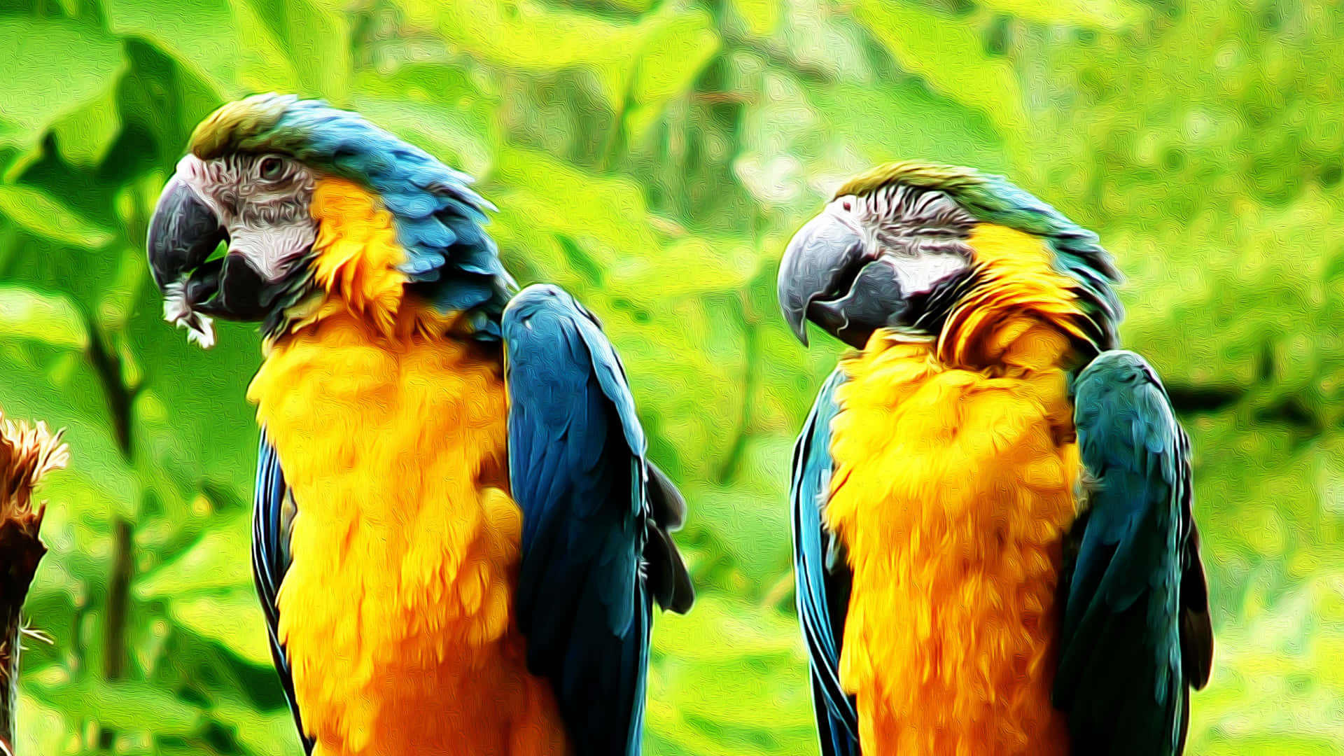 Parrot Craning Neck Background