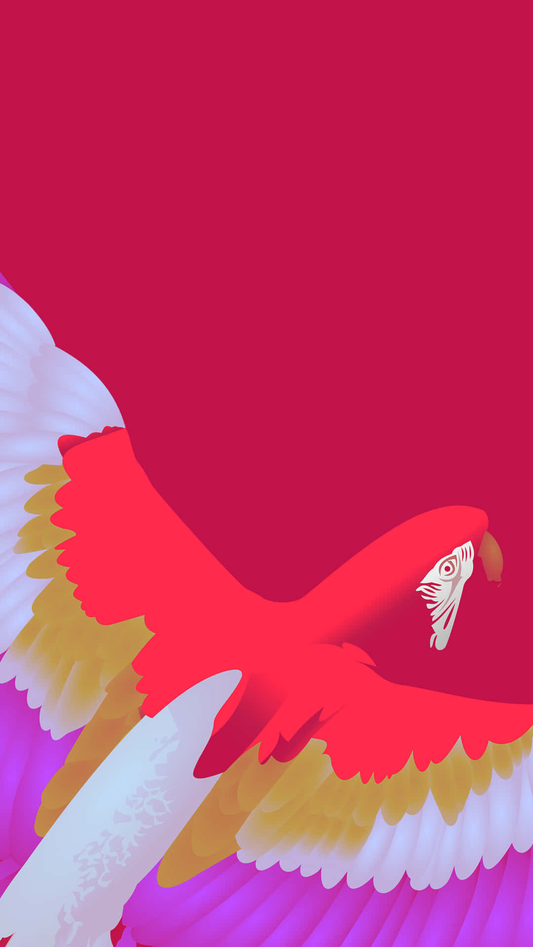 Parrot Illustration Background