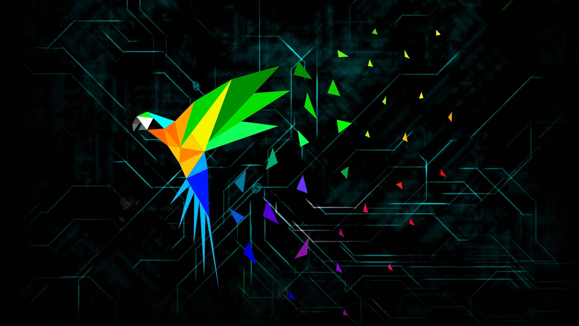 Parrot Linux Os Colorful Parrot Futuristic