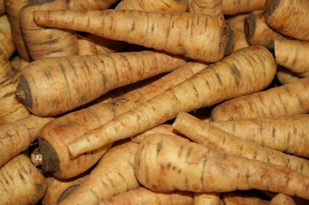 Parsnip Root Crop Vegetables Extreme Close Up