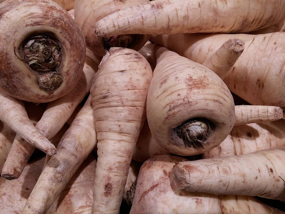 Parsnip Root Crop Vegetables Extreme Close Up Background